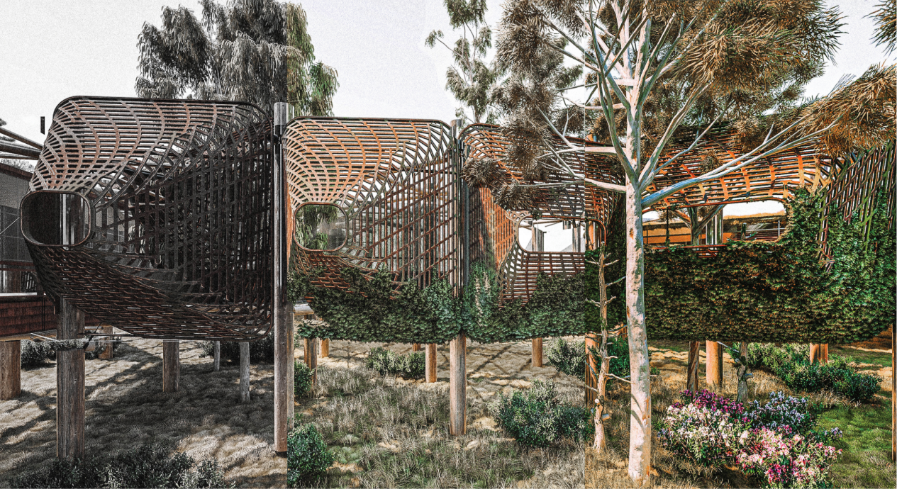 Organic timber skins and elevated pathways allow the sanctuary to merge seamlessly with Queensland’s fragile forest ecosystem.