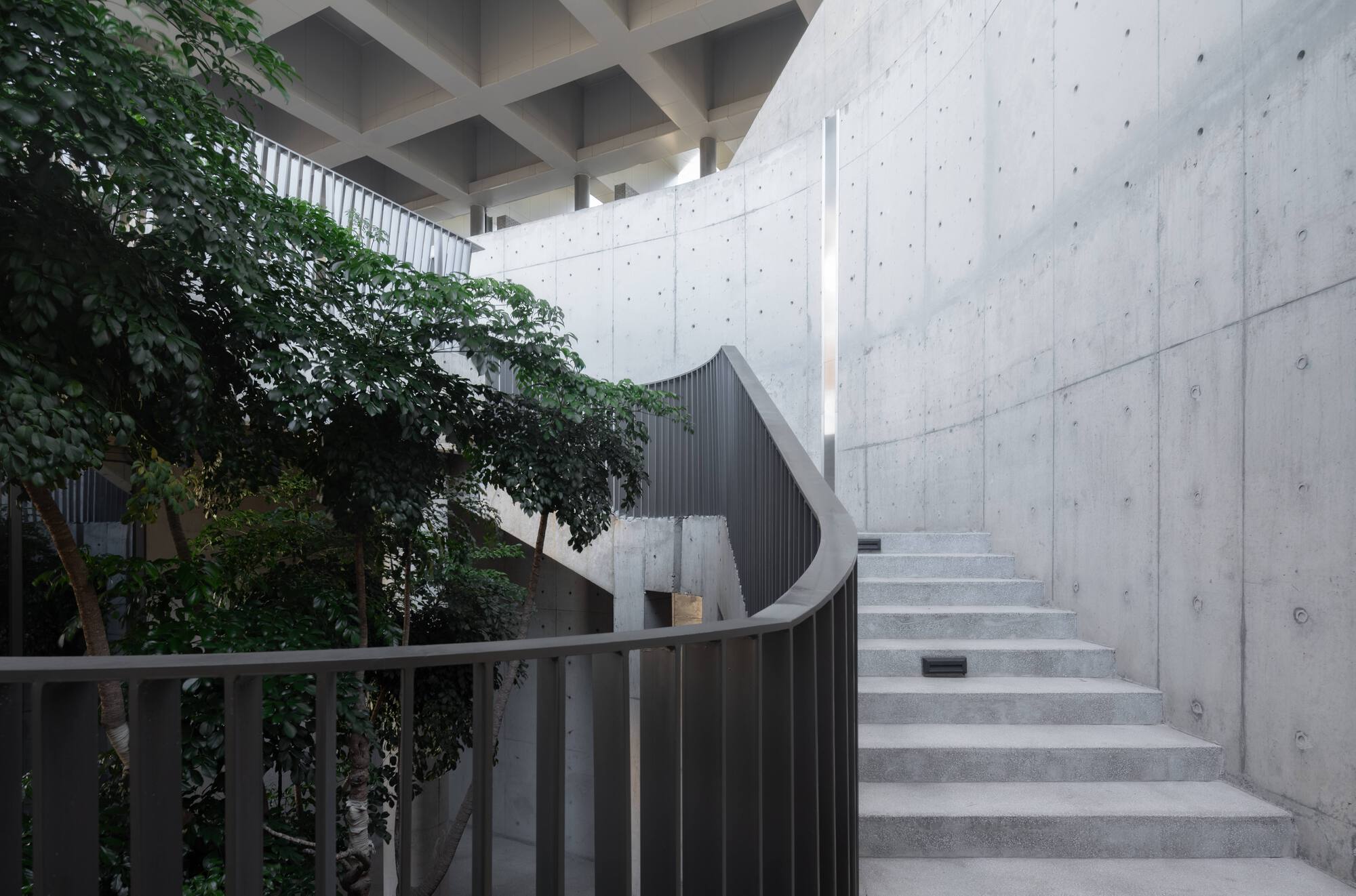 Exterior concrete staircase alongside a planted courtyard with dark metal railing and mature trees