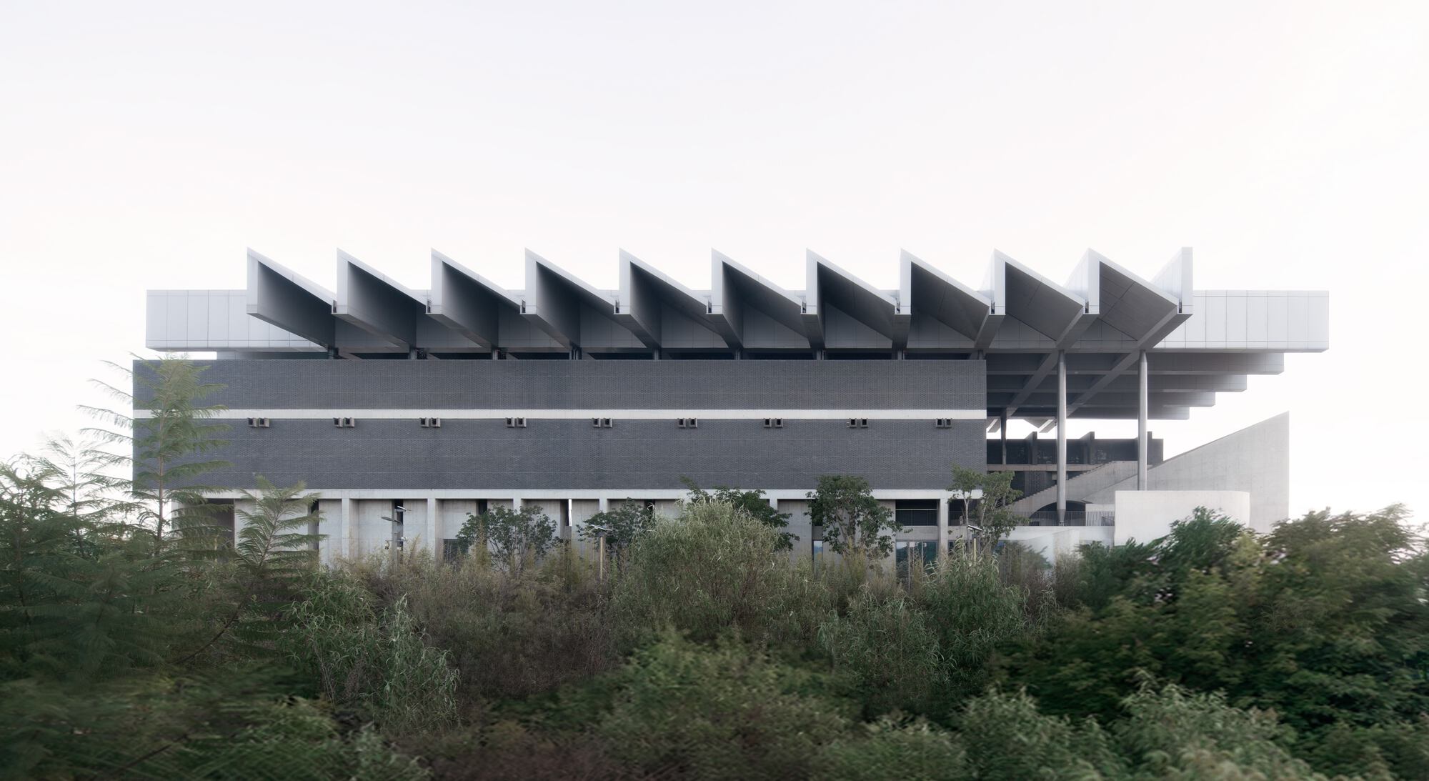 Lateral view of the elevated structure with sawtooth roof profile rising above dense surrounding vegetation