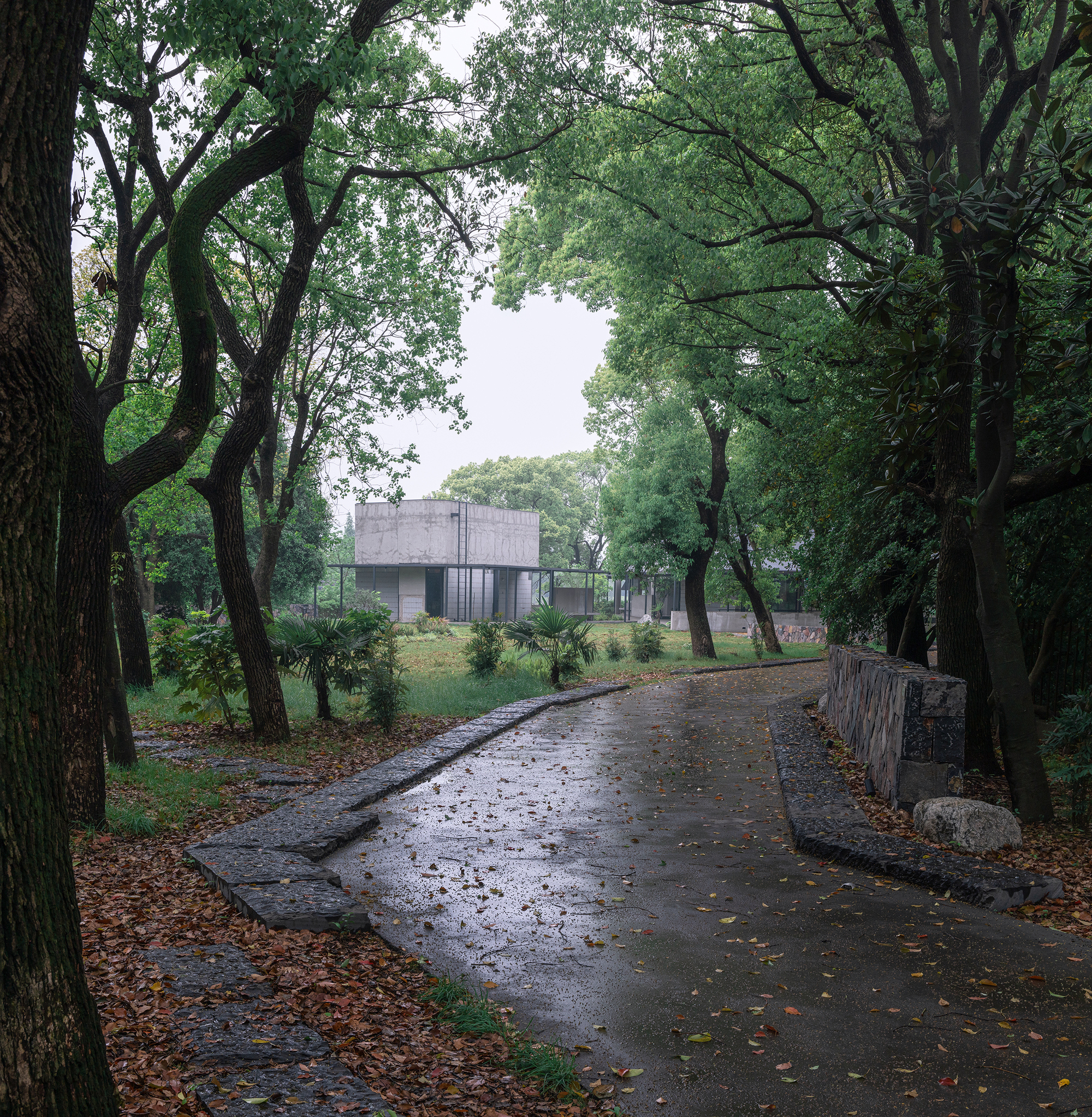Concrete volume elevated among dense trees approached by a wet pathway with autumn leaves
