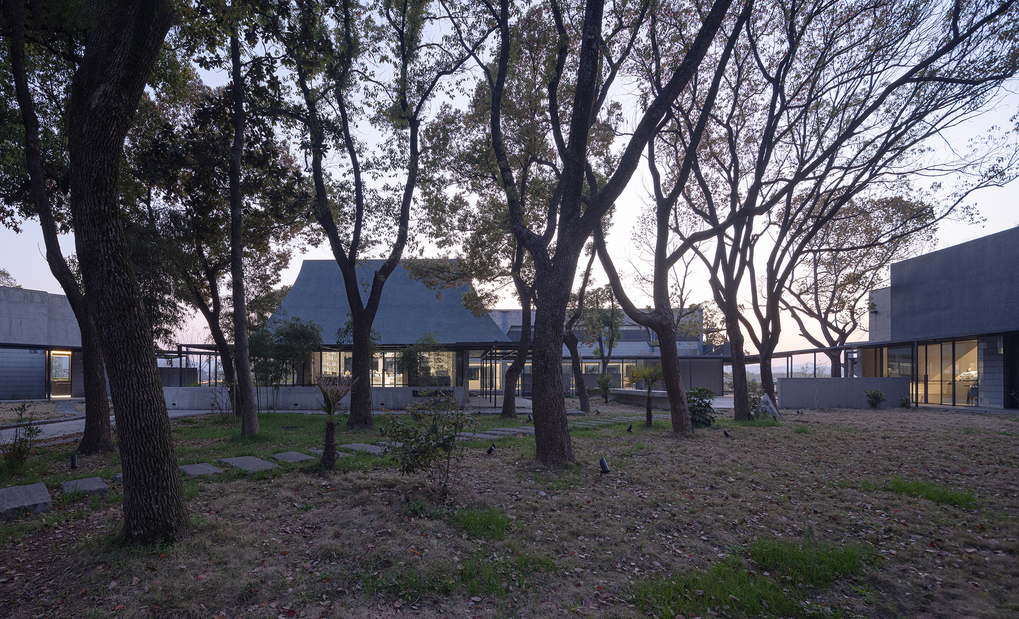 Illuminated glass walls of the pavilion visible through bare tree trunks at dusk
