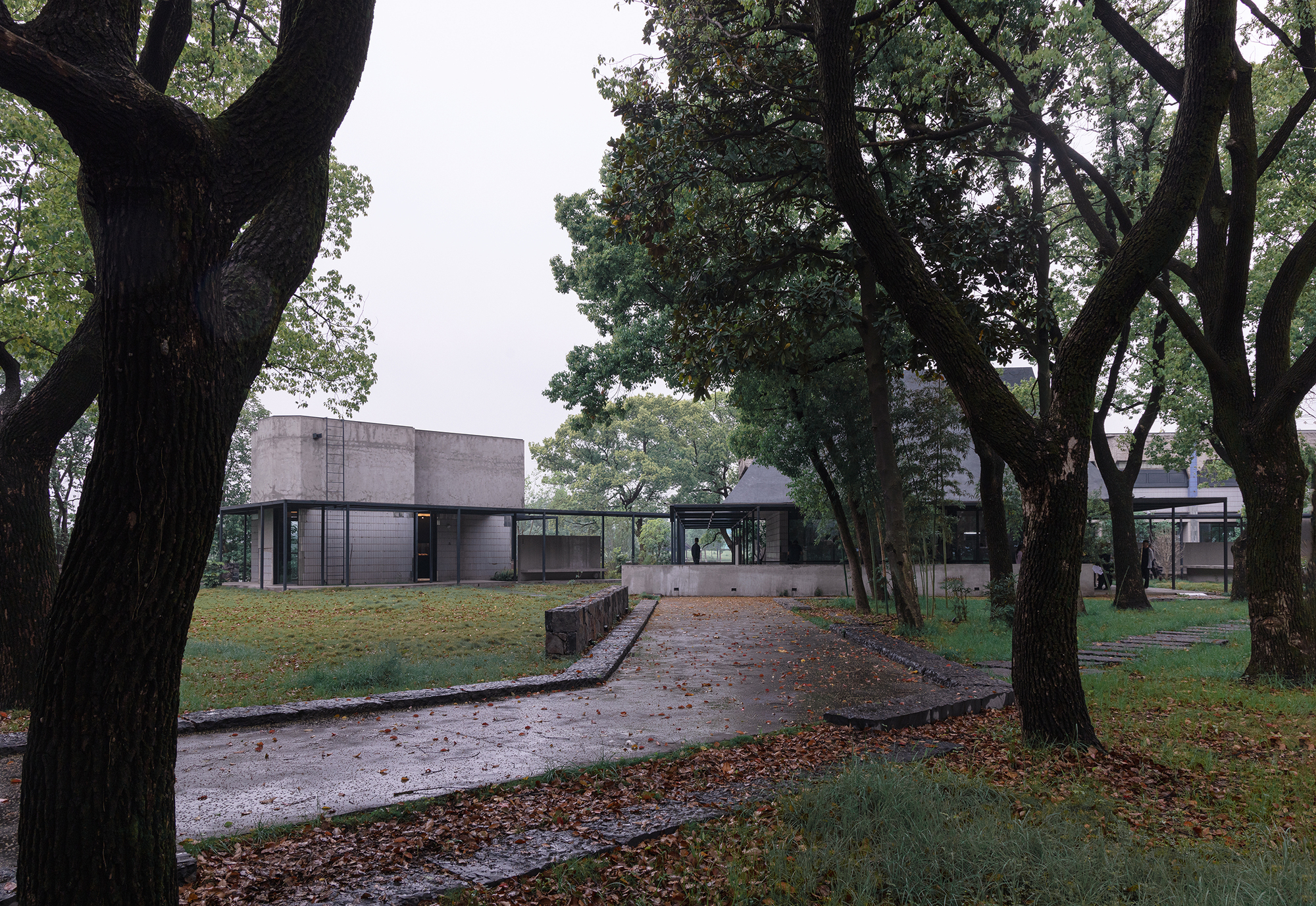 Paved path through mature trees leading to a concrete volume and glass-walled pavilions under overcast skies