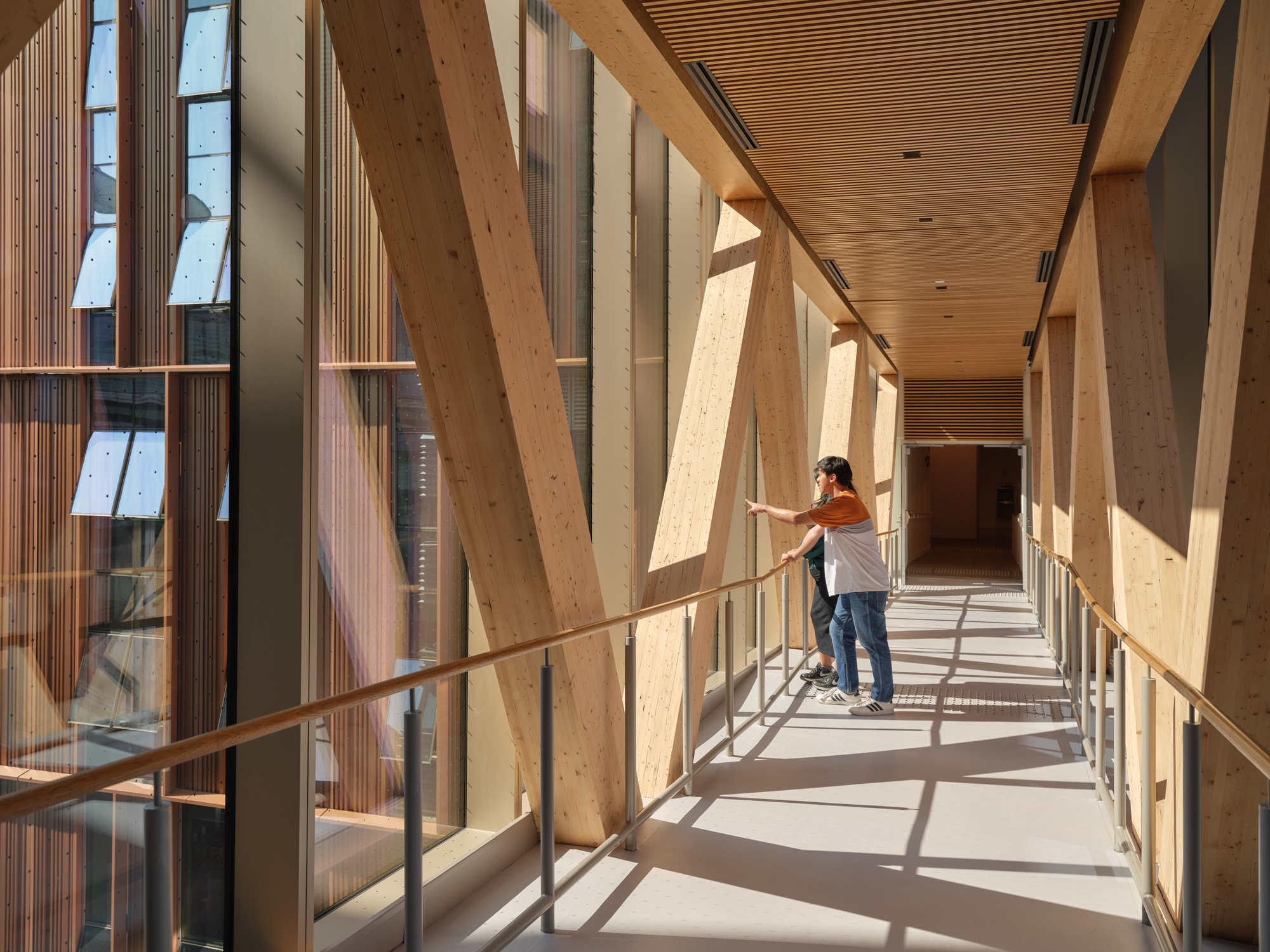 Enclosed bridge with diagonal timber bracing and a visitor pausing by the glass railing