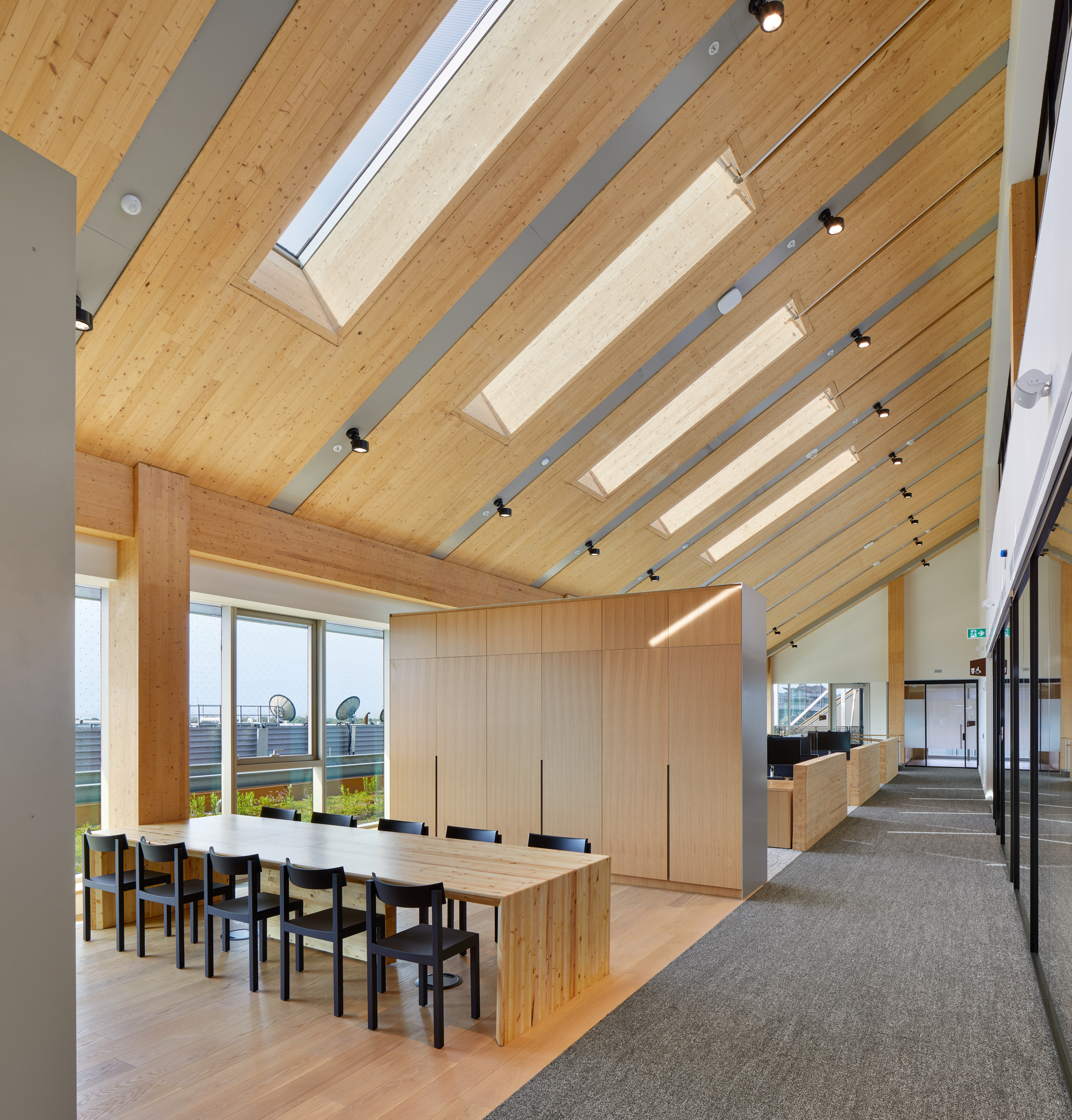 Exposed timber structure with glulam beams, tubular skylights and a long table overlooking a green roof