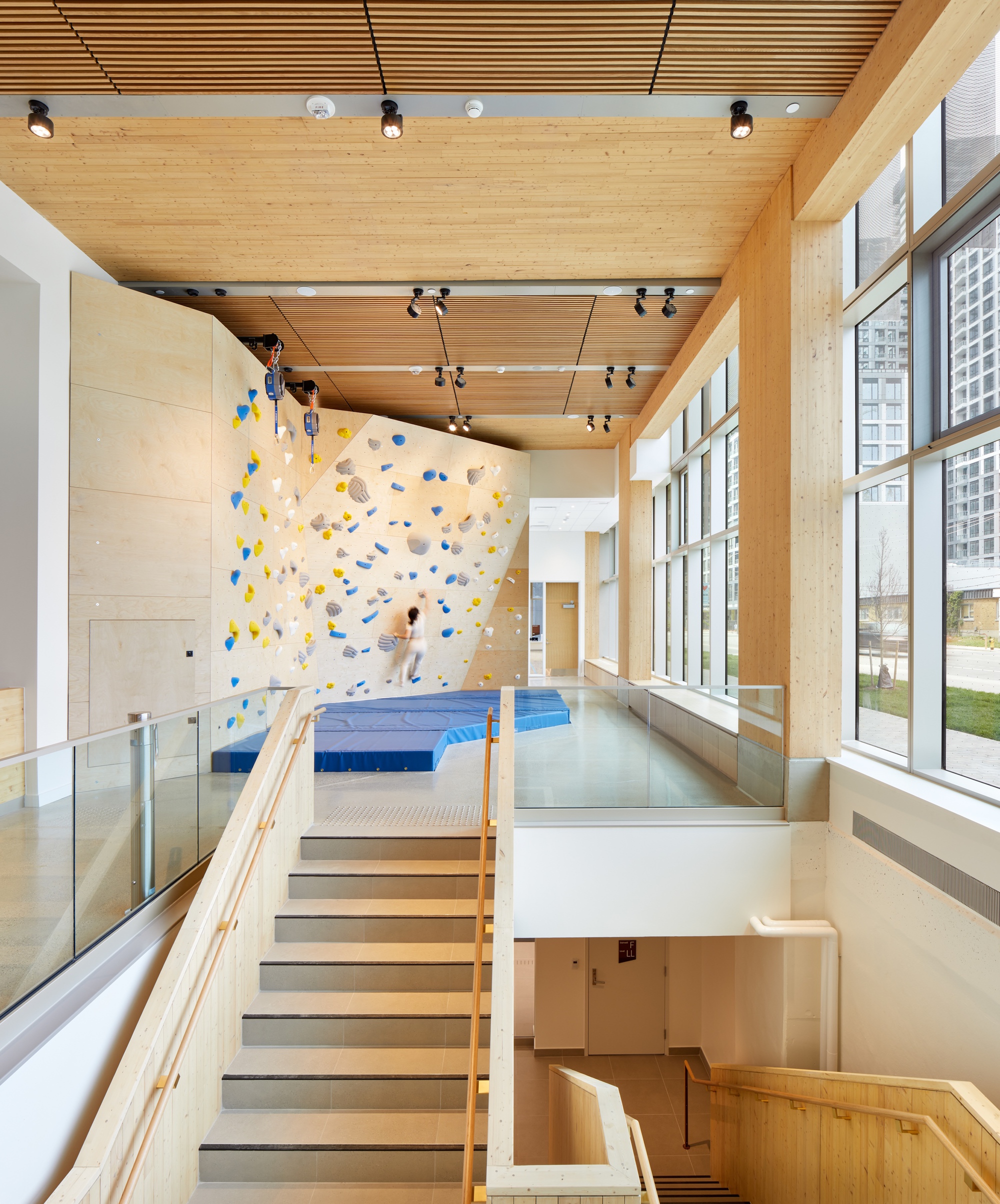Split-level interior with timber stairs leading to a climbing wall with colorful holds and blue crash mats