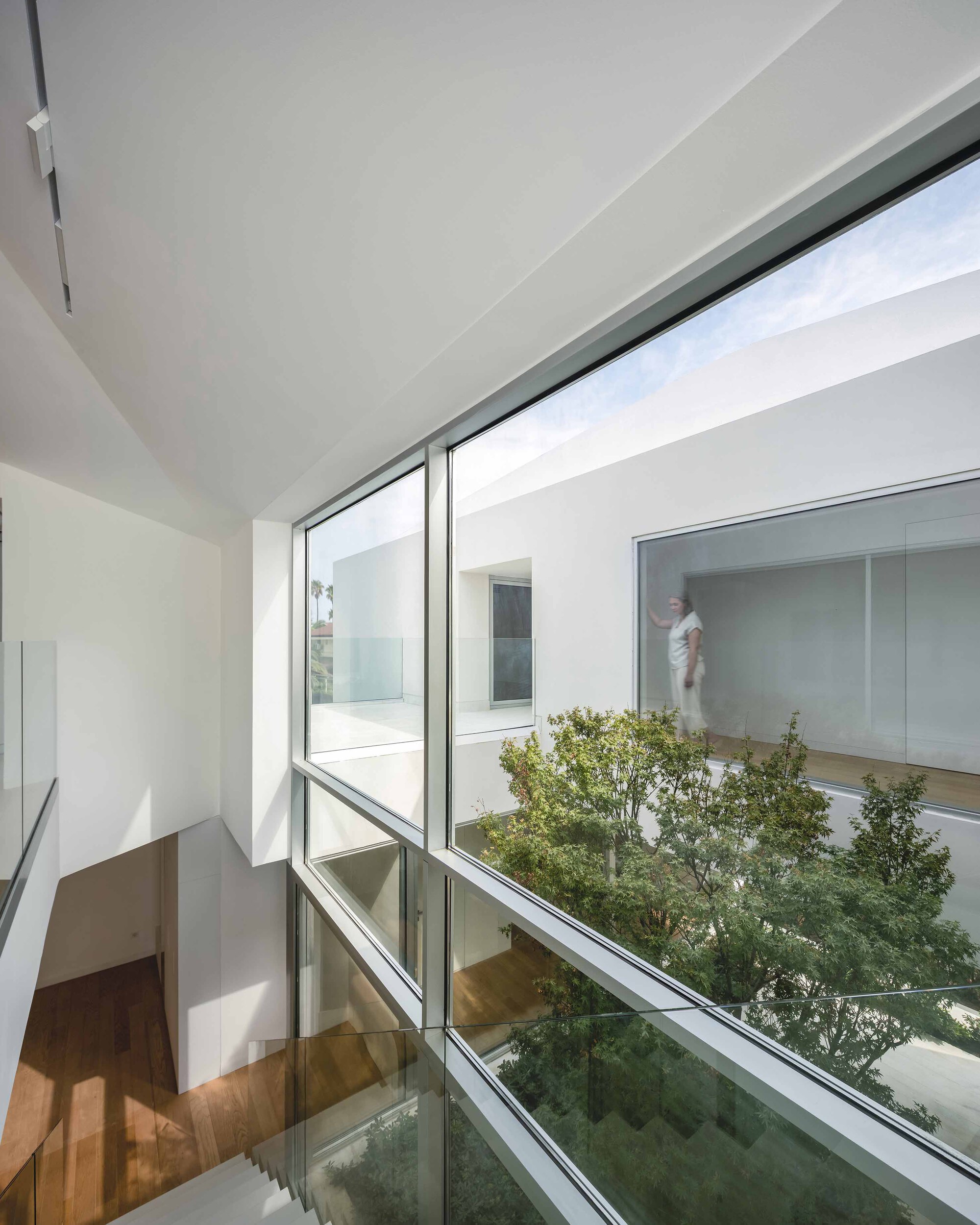 Stairwell with timber treads and glass balustrade overlooking the planted courtyard through full-height glazing