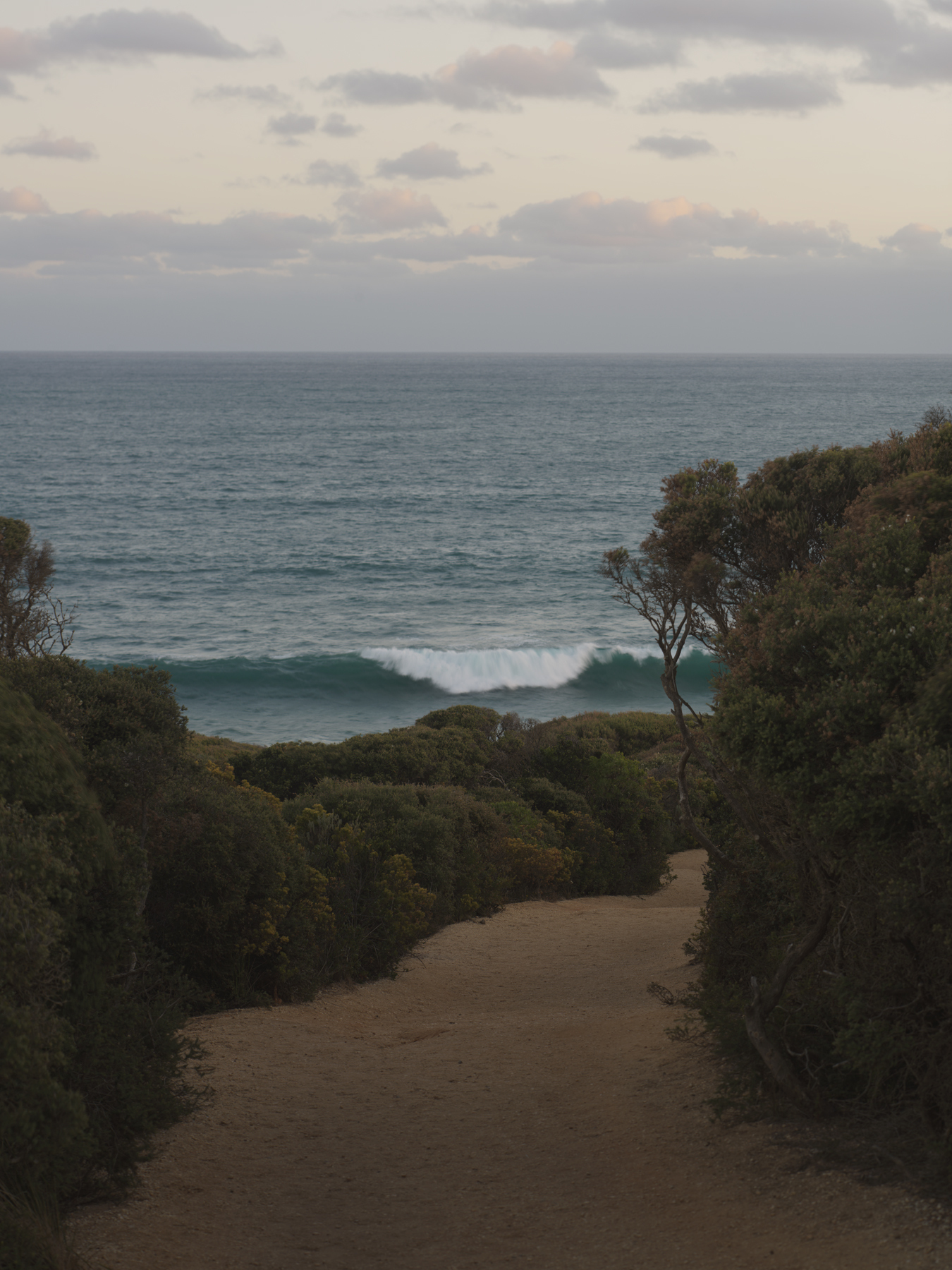 Gravel path descending through coastal vegetation toward the ocean under an overcast sky
