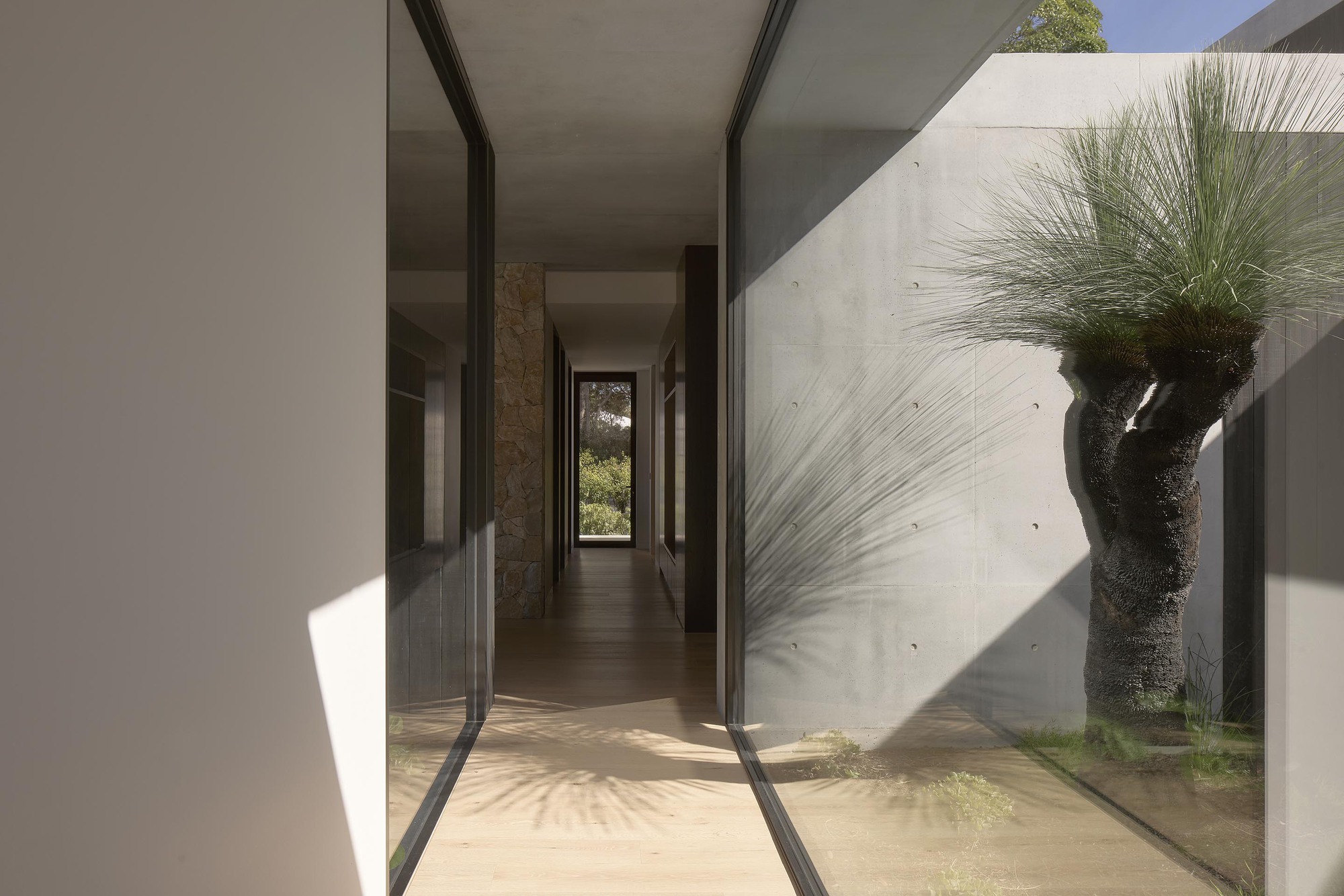 Glazed corridor with concrete walls and native grass tree casting shadows in afternoon sun