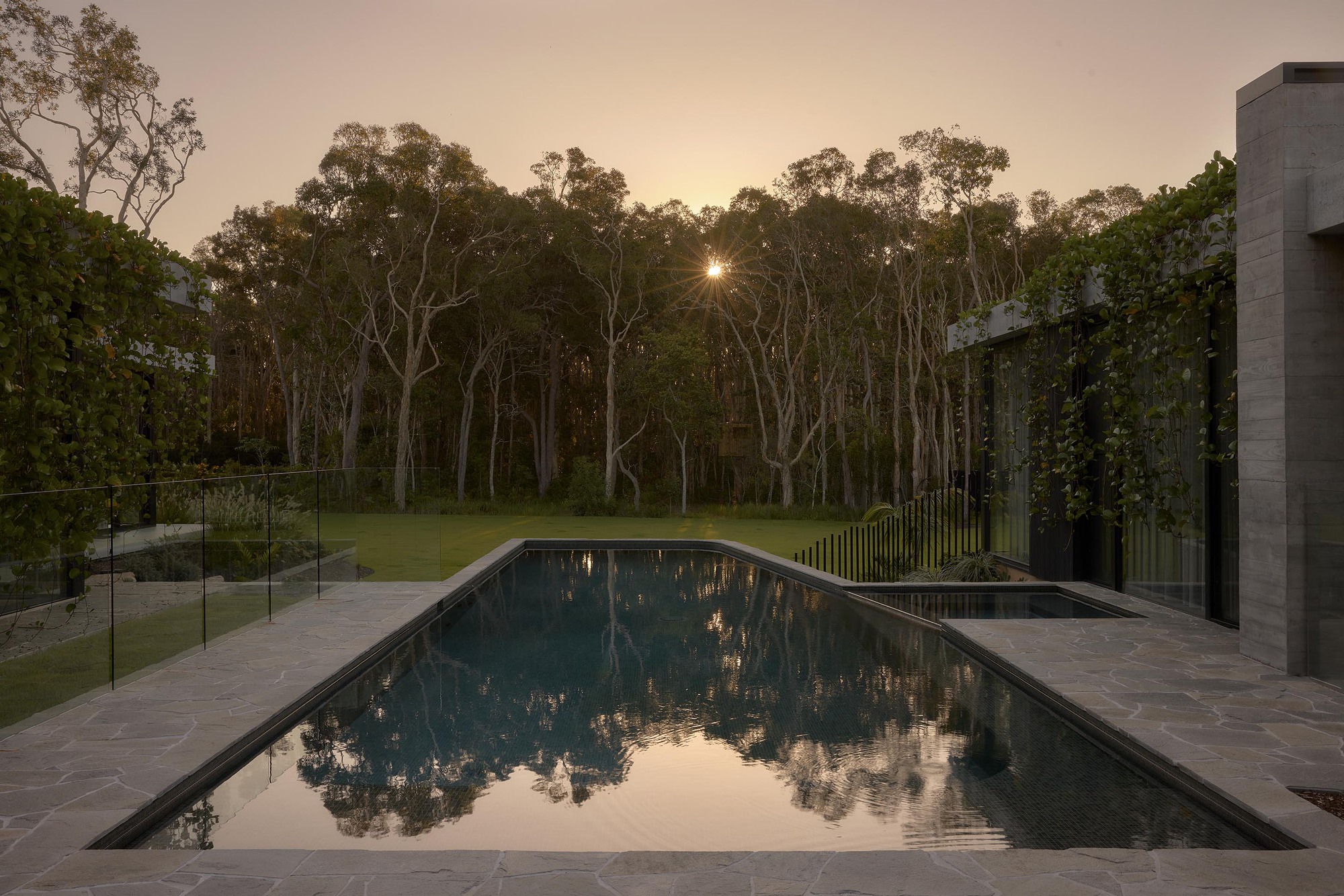 Lap pool reflecting eucalyptus trees at dusk with glass balustrade and stone paving