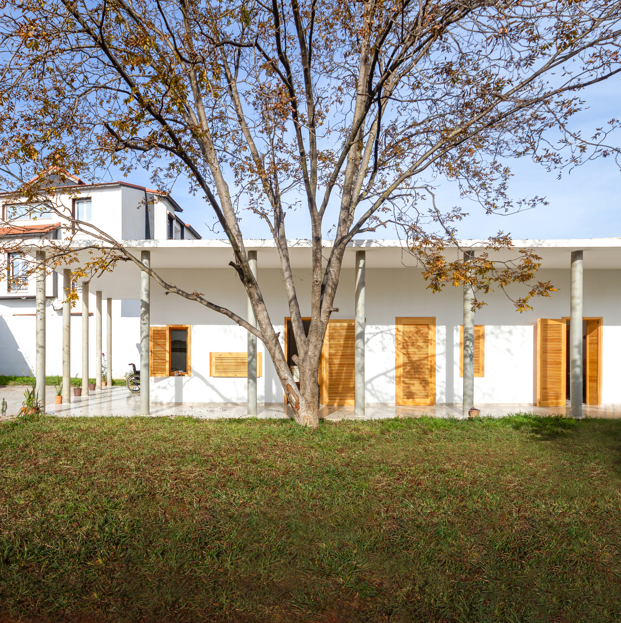White stucco facade with timber shutters and columned porch beneath a deciduous tree in autumn foliage