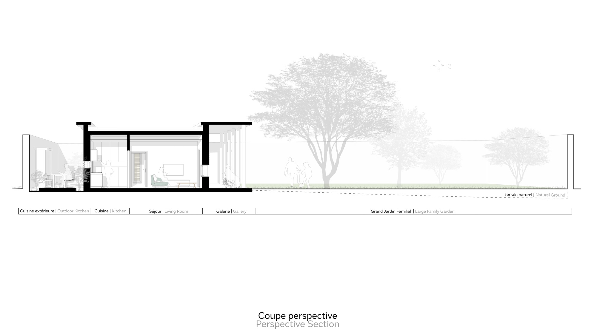 Perspective section drawing showing interior spaces beneath a flat roof with trees in the background