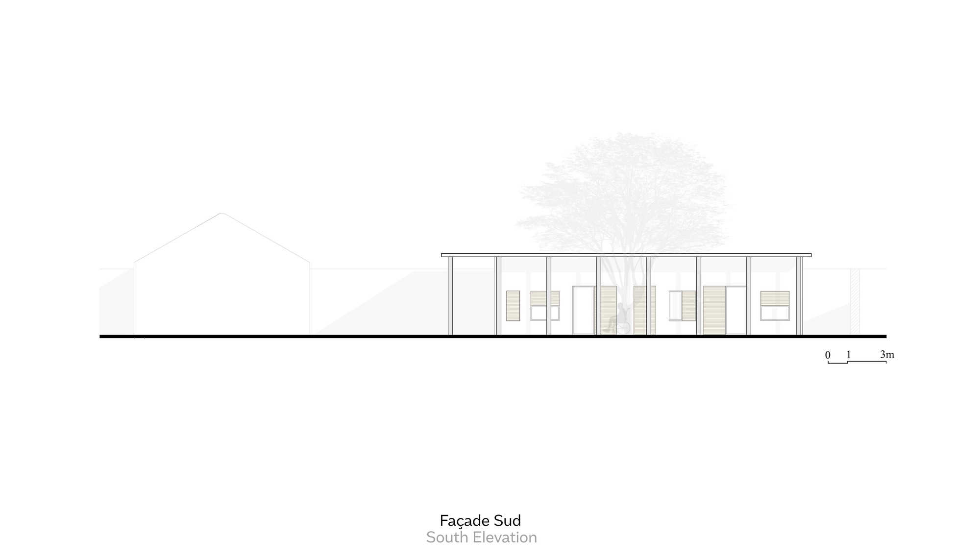 South elevation drawing showing glazed facade with interior furniture visible and a tree behind the structure