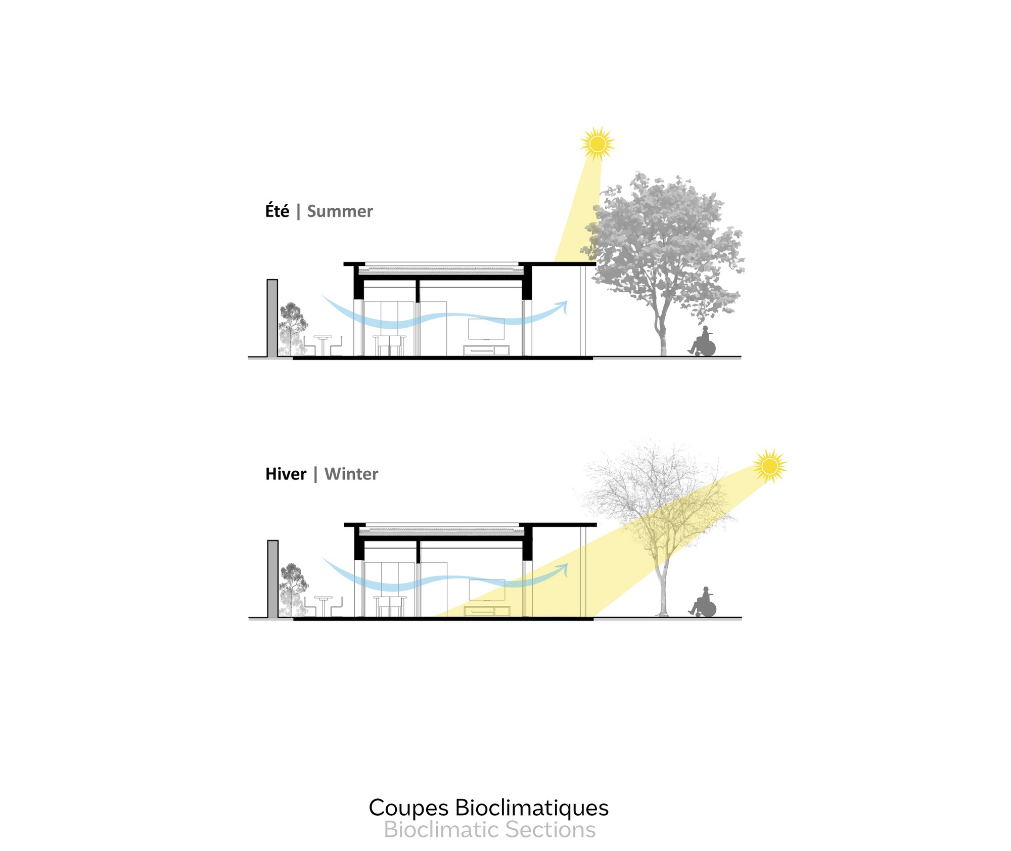 Bioclimatic section diagrams comparing summer and winter sun angles with ventilation arrows through the interior