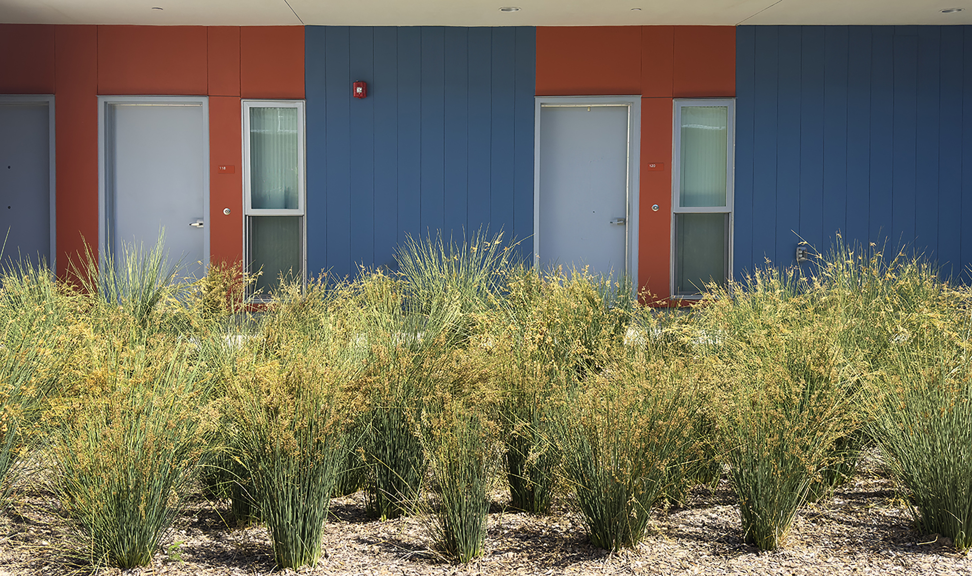 Blue and orange panel facade with entry doors behind planted beds of native grasses