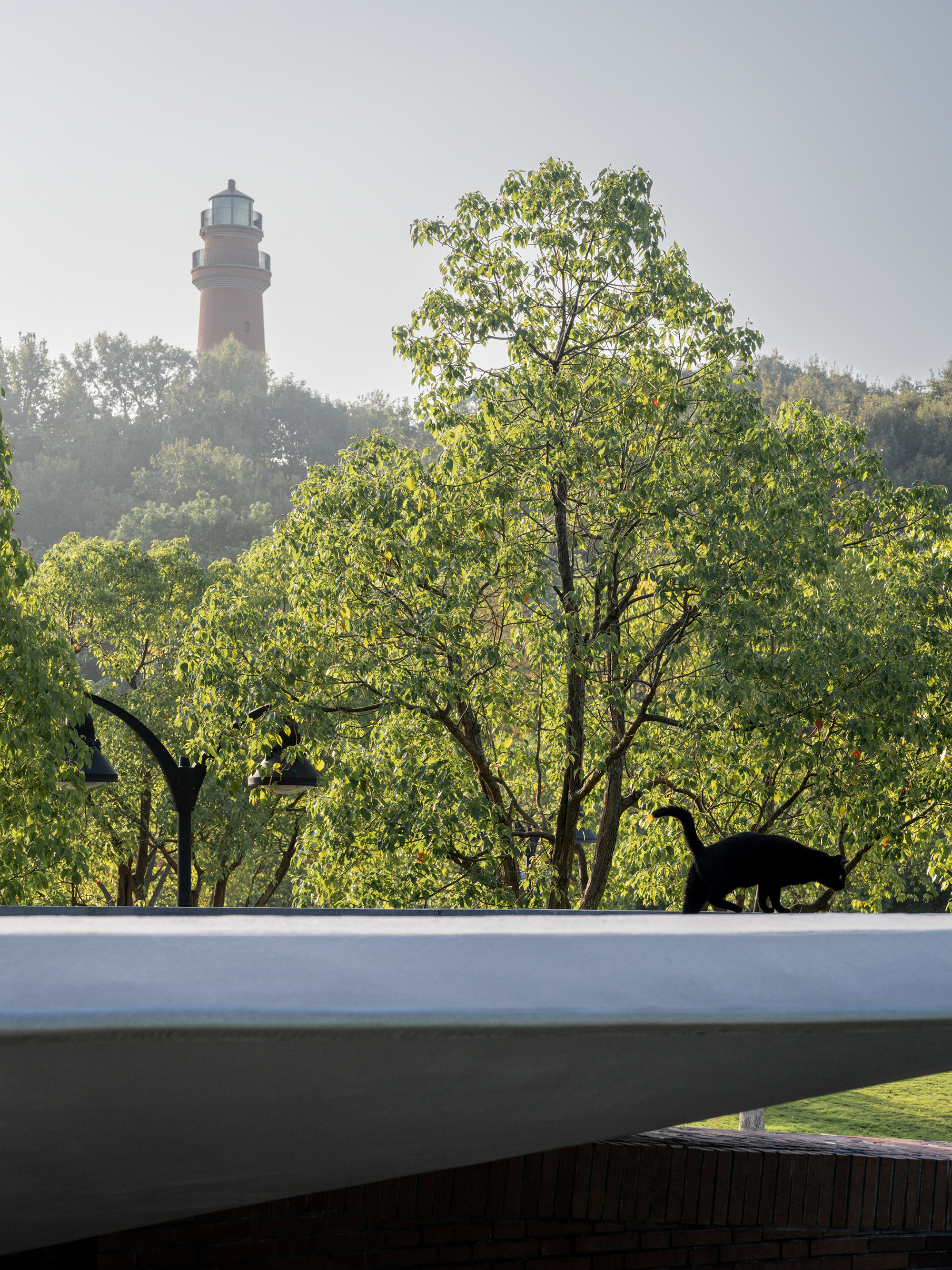 White curved roof edge with silhouetted dog and distant lighthouse emerging through morning mist