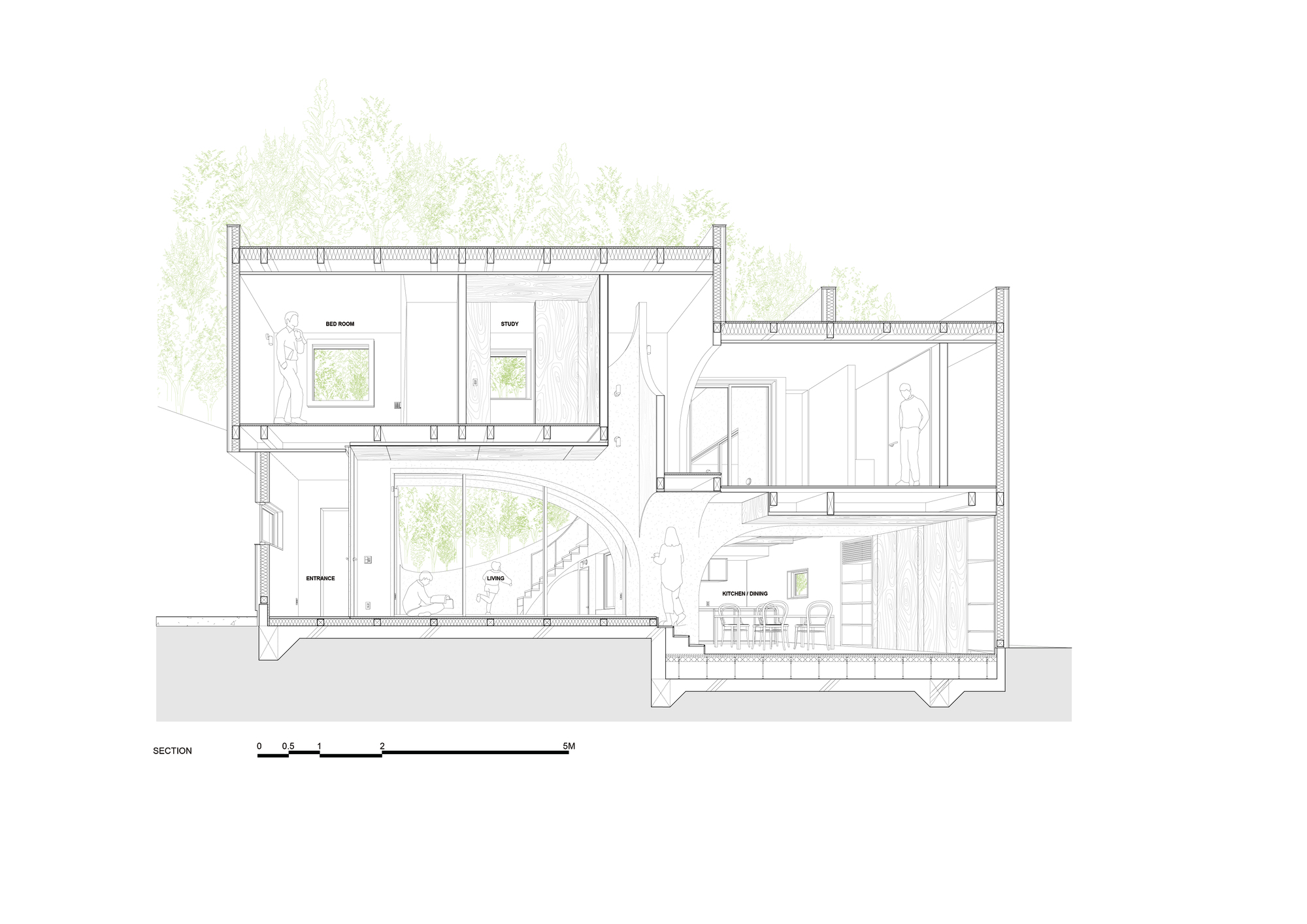 Section drawing showing multi-level interior spaces with double-height living area and exposed timber ceiling structure