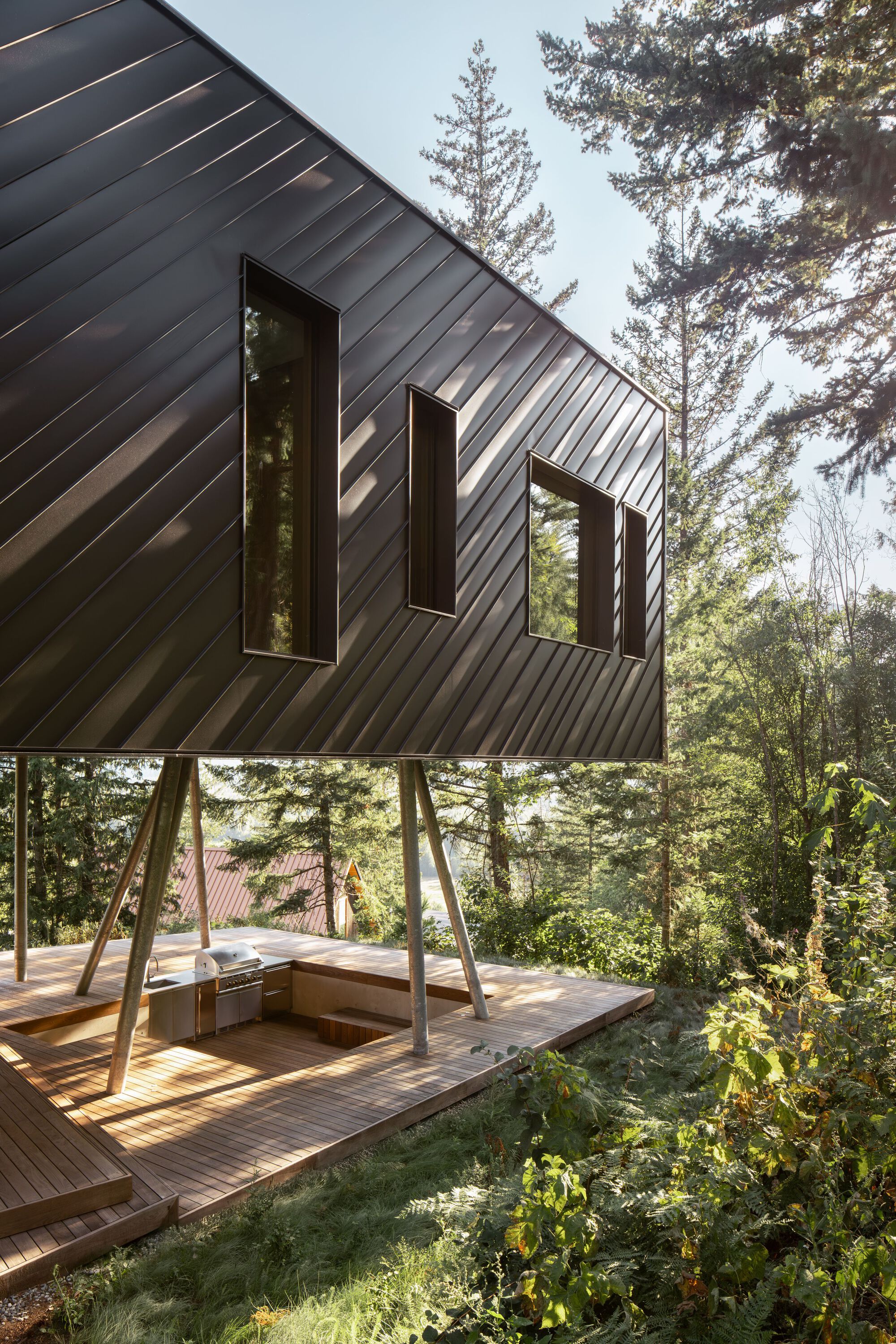 Elevated timber volume on angled steel columns with horizontal metal cladding among evergreen trees