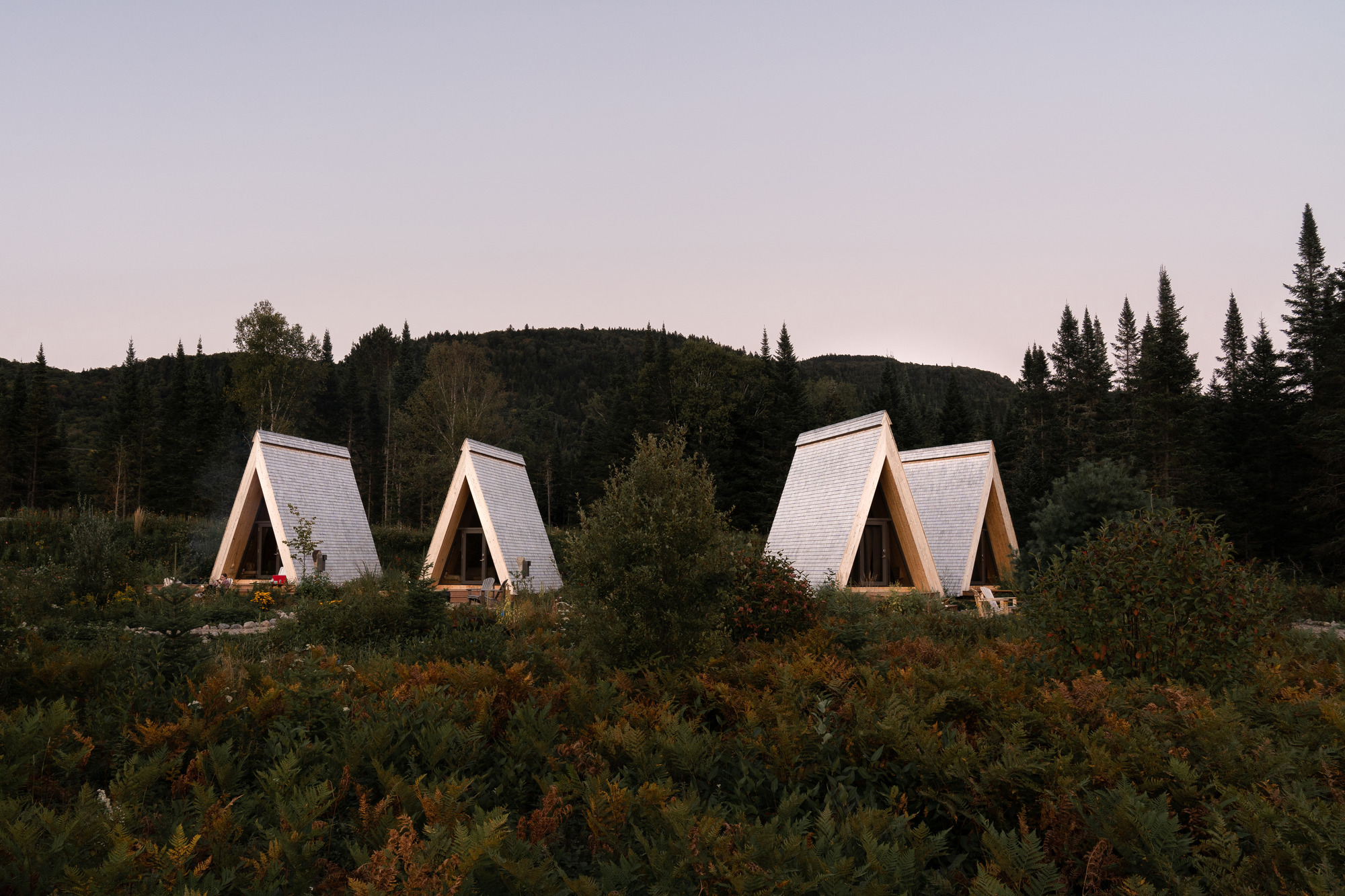 Four timber A-frame cabins with shingled roofs nestled among low vegetation and conifer forest at dusk