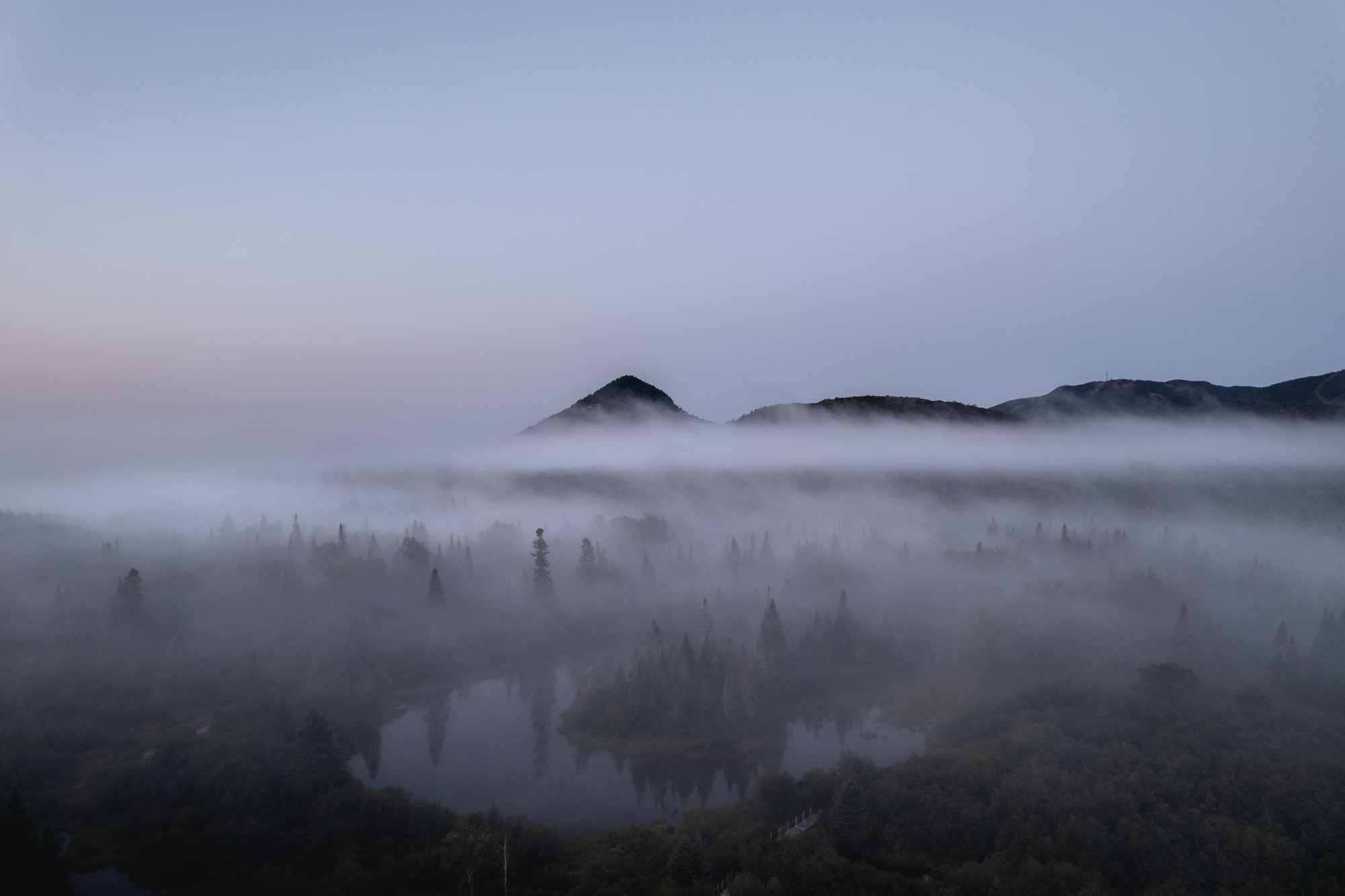 Aerial view of forested valley with pond and low-lying fog at dawn