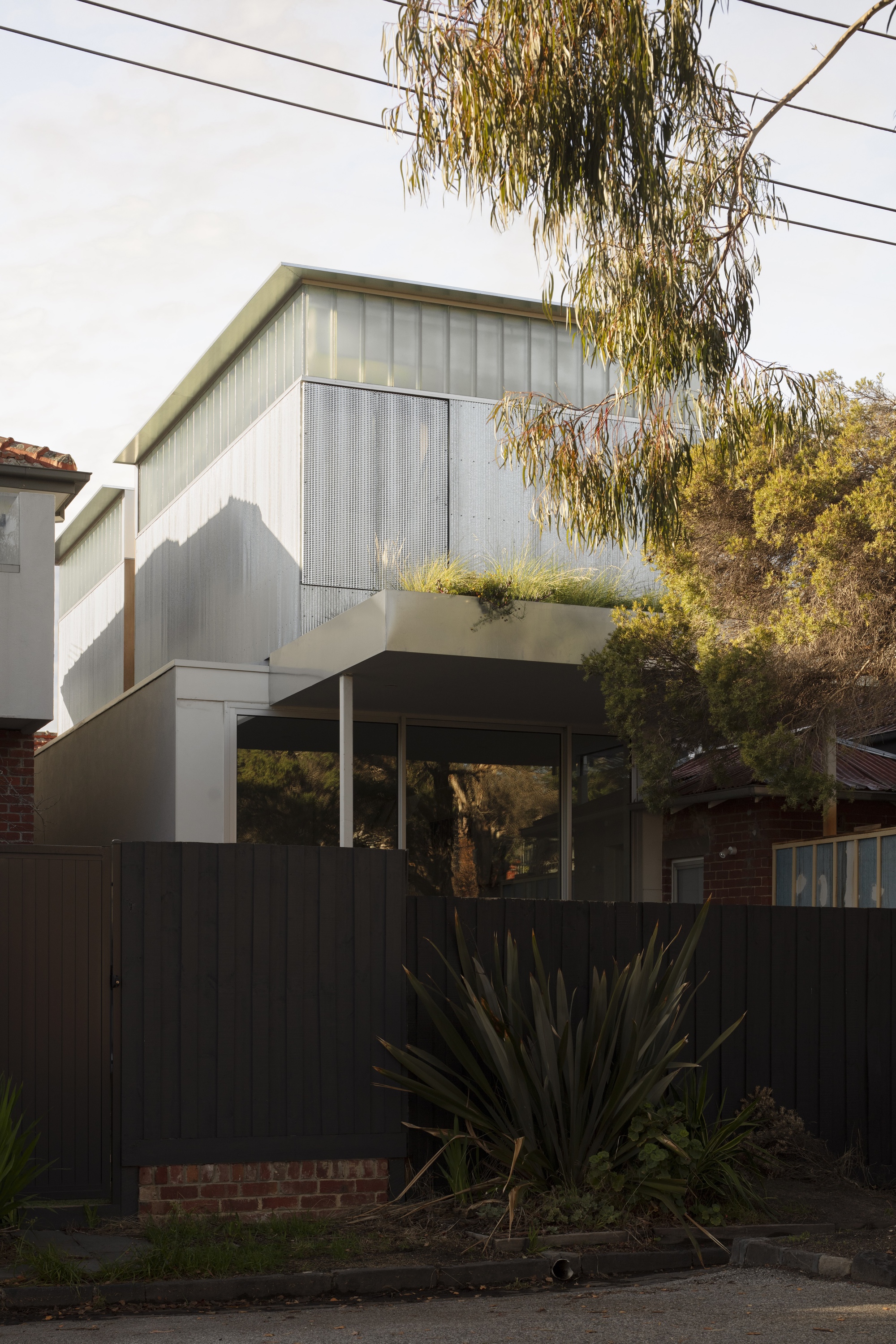 Upper volume clad in vertical metal sheeting with cantilevered terrace and planted bed beneath overhanging willow branches