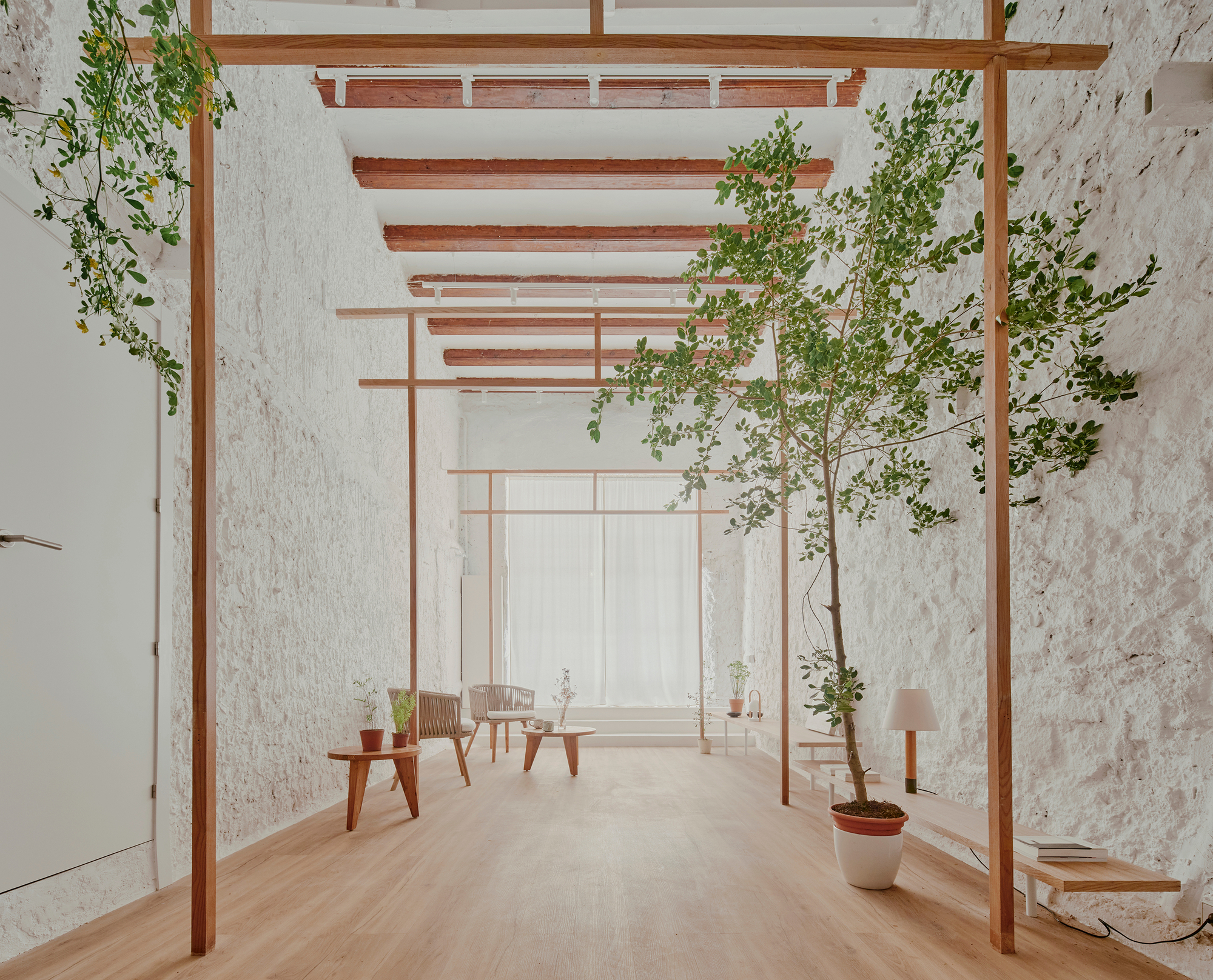 Interior corridor with timber frame portals, whitewashed brick walls and potted trees on pale wood flooring