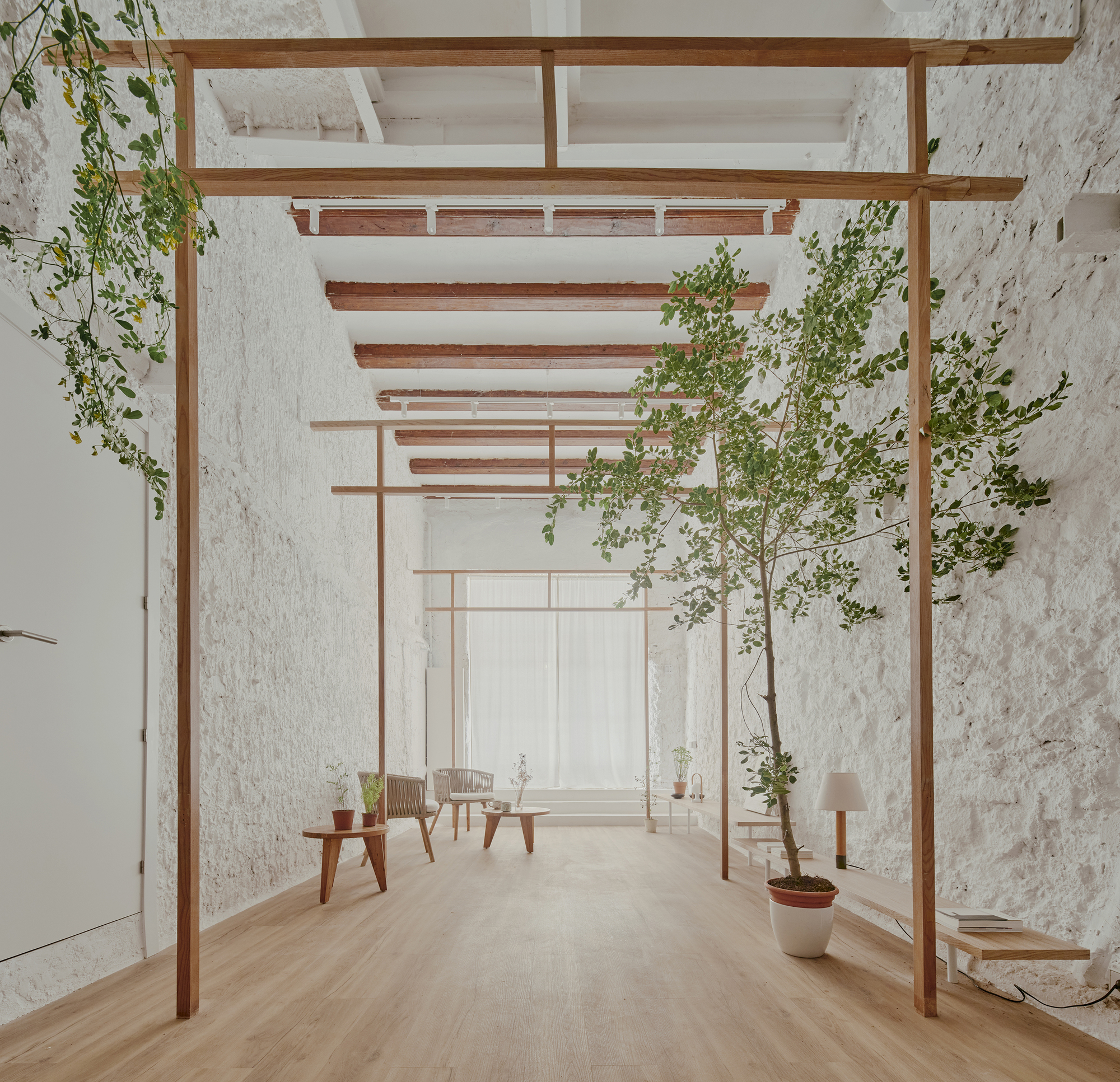 View through timber portal frames with potted trees lining the corridor under exposed rafters and soft daylight