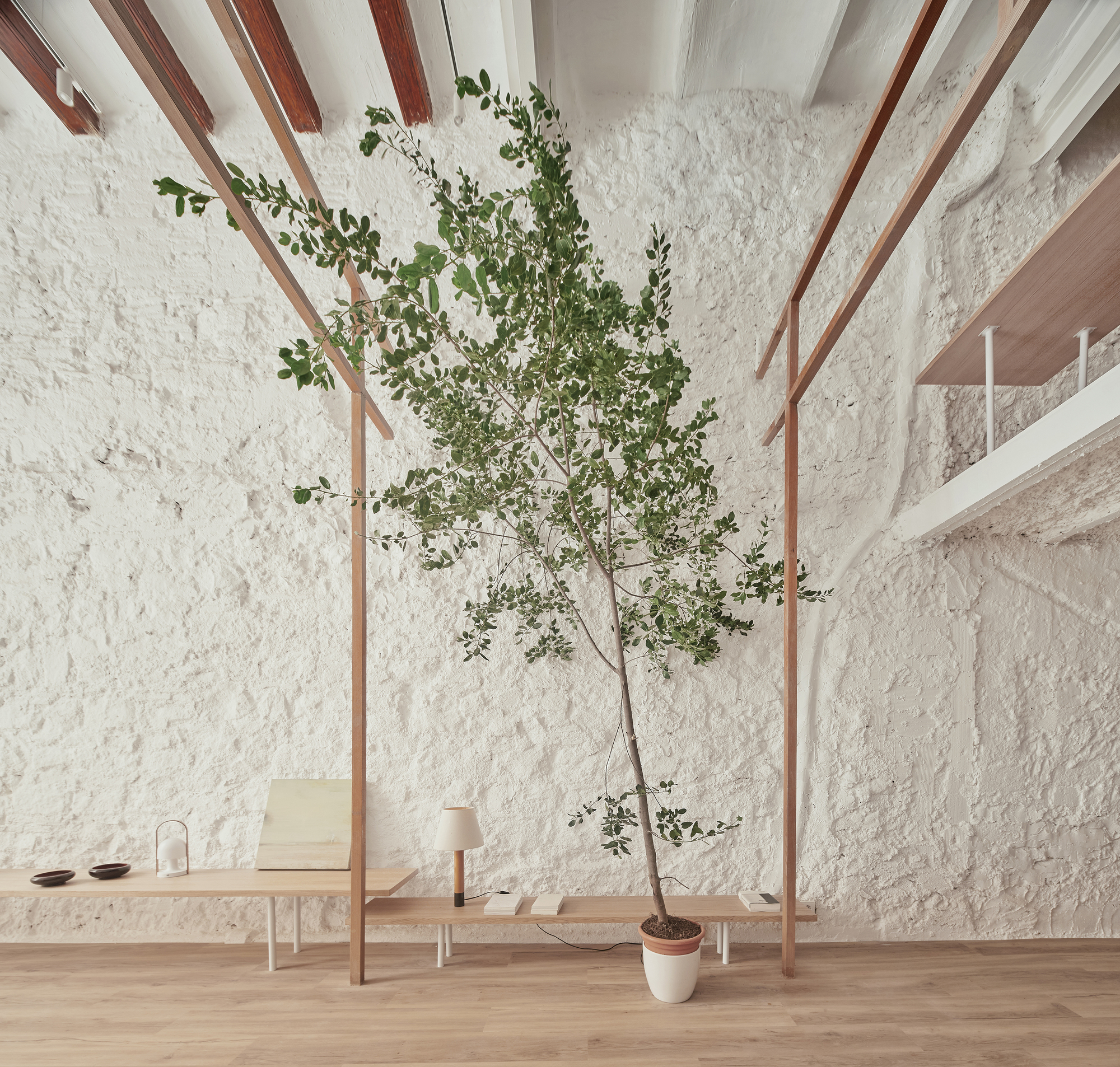 Exposed timber ceiling beams above a potted tree and low bench in a white-walled room