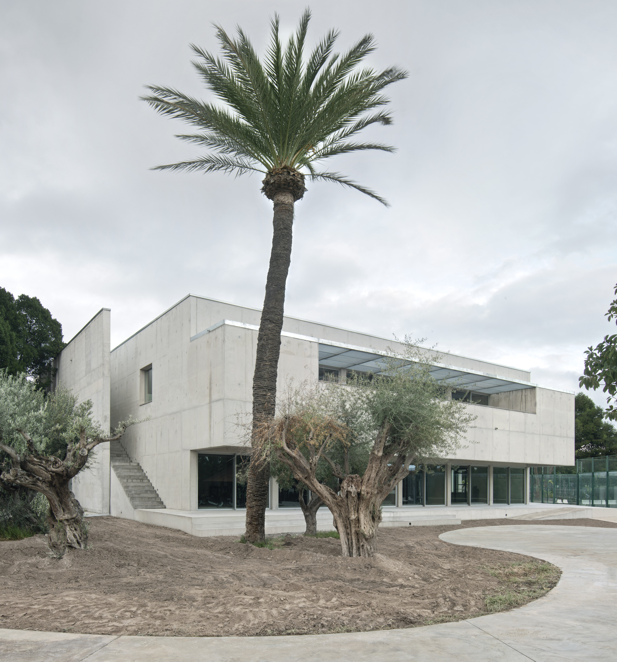Concrete facade with glazed upper band set among olive trees and palm under overcast sky