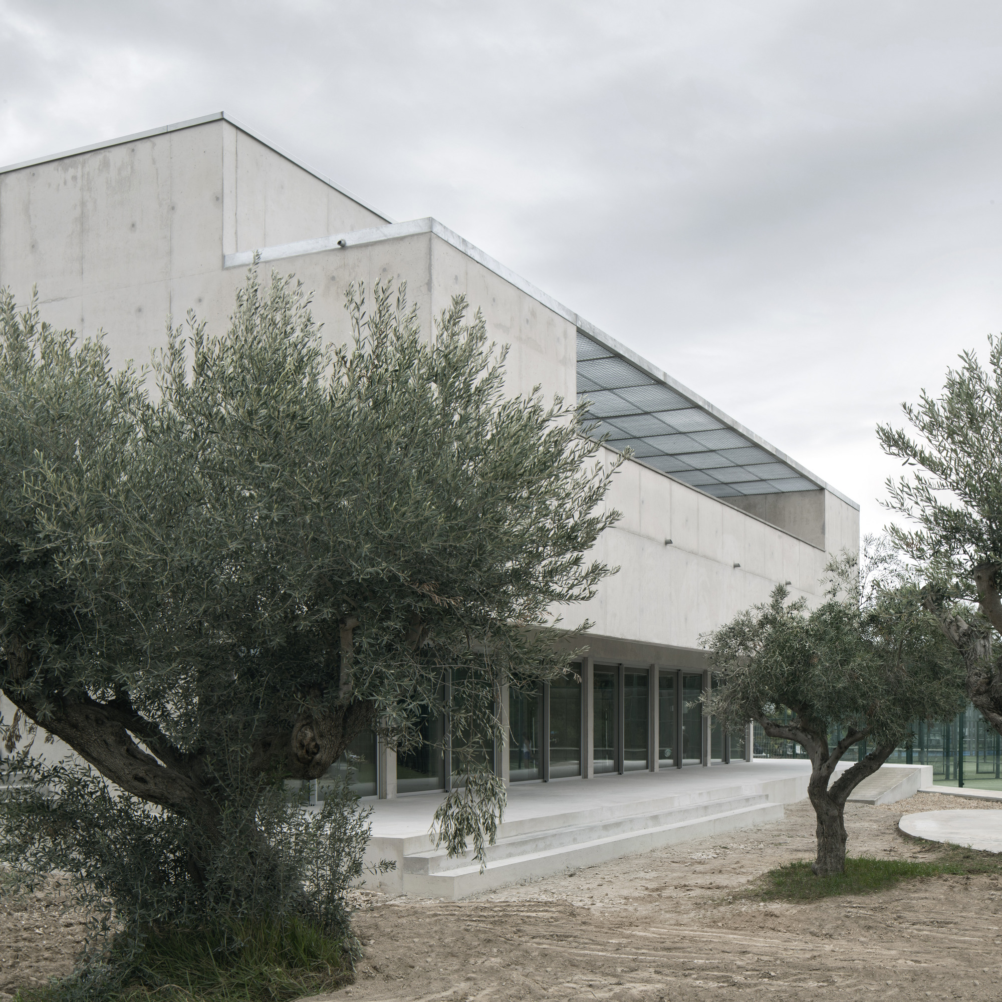 Covered terrace with glazed wall beneath a projecting concrete volume framed by olive trees