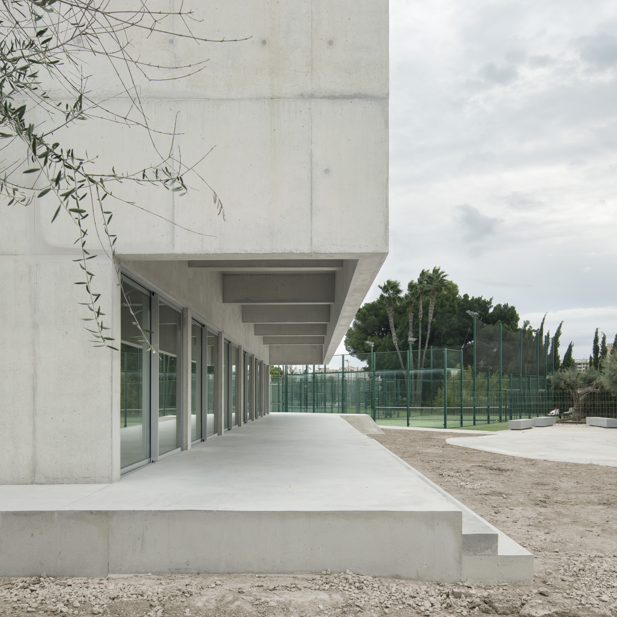 Cantilevered concrete terrace overlooking tennis courts with olive branches draping the corner