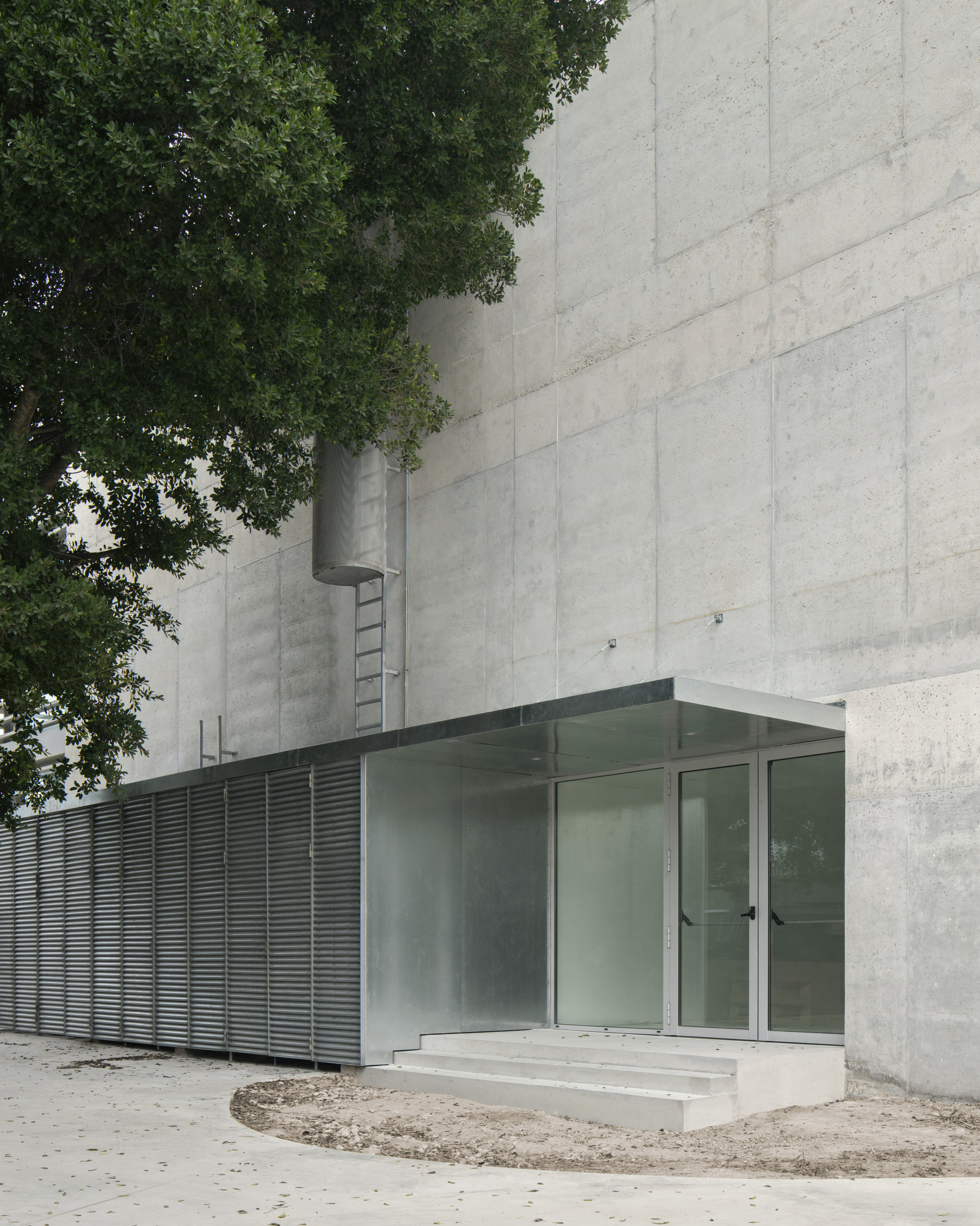 Single-story glass pavilion with horizontal louvered panels against a tall board-formed concrete wall and mature tree