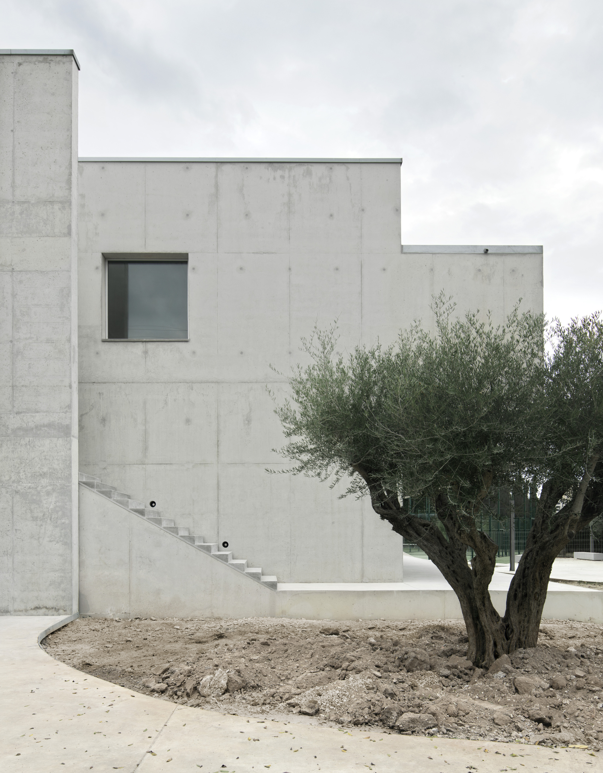 Stepped concrete volumes with exterior staircase ascending beside a gnarled olive tree under cloudy sky
