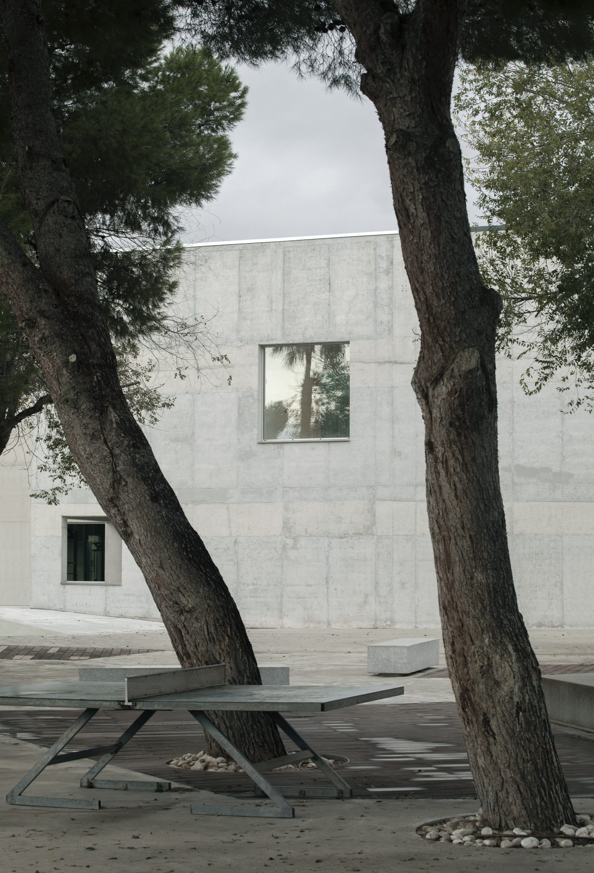Metal picnic table beneath pine trees facing a board-formed concrete facade with square window openings