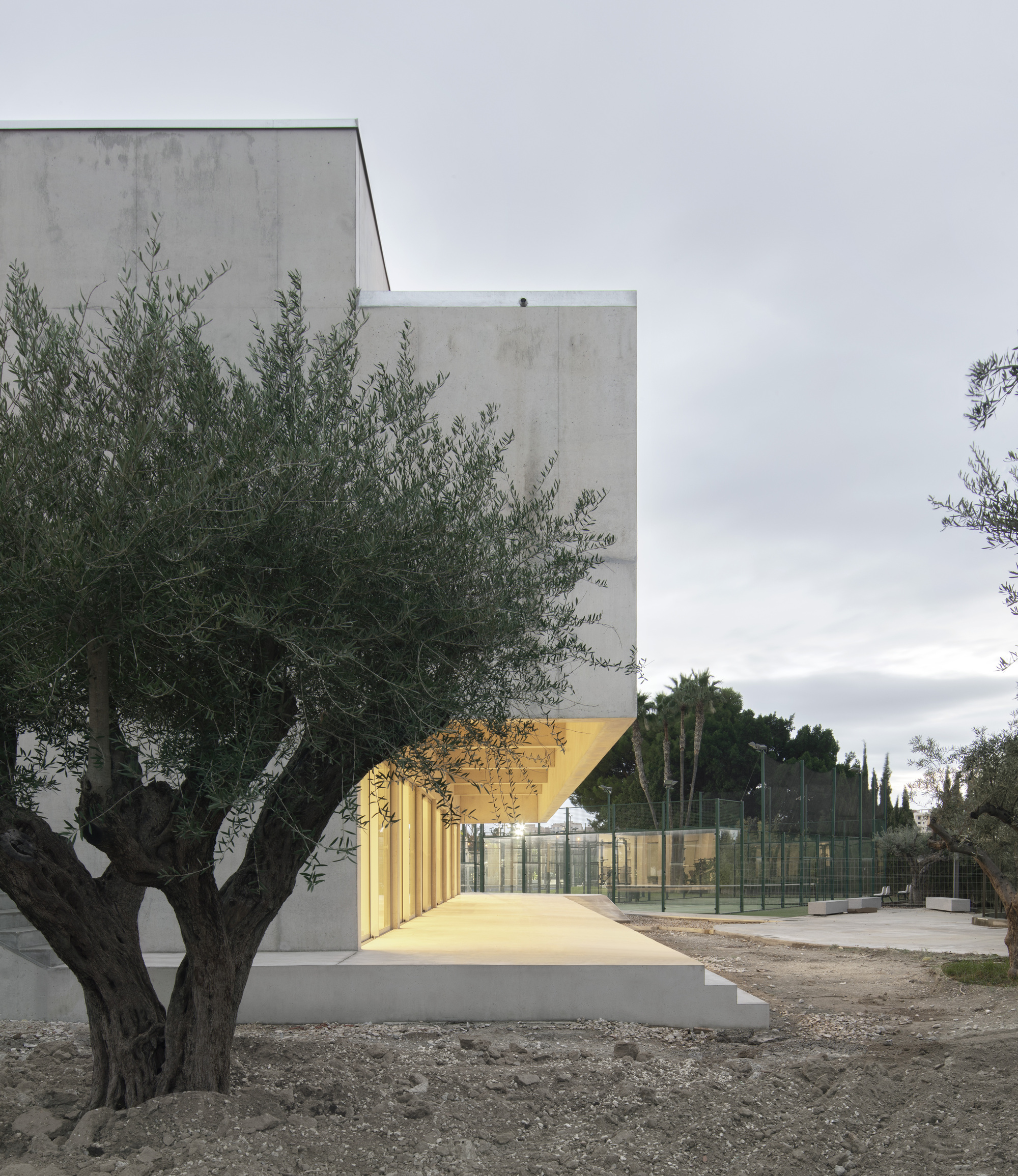 Concrete volumes with an illuminated yellow canopy entrance beside an olive tree at dusk
