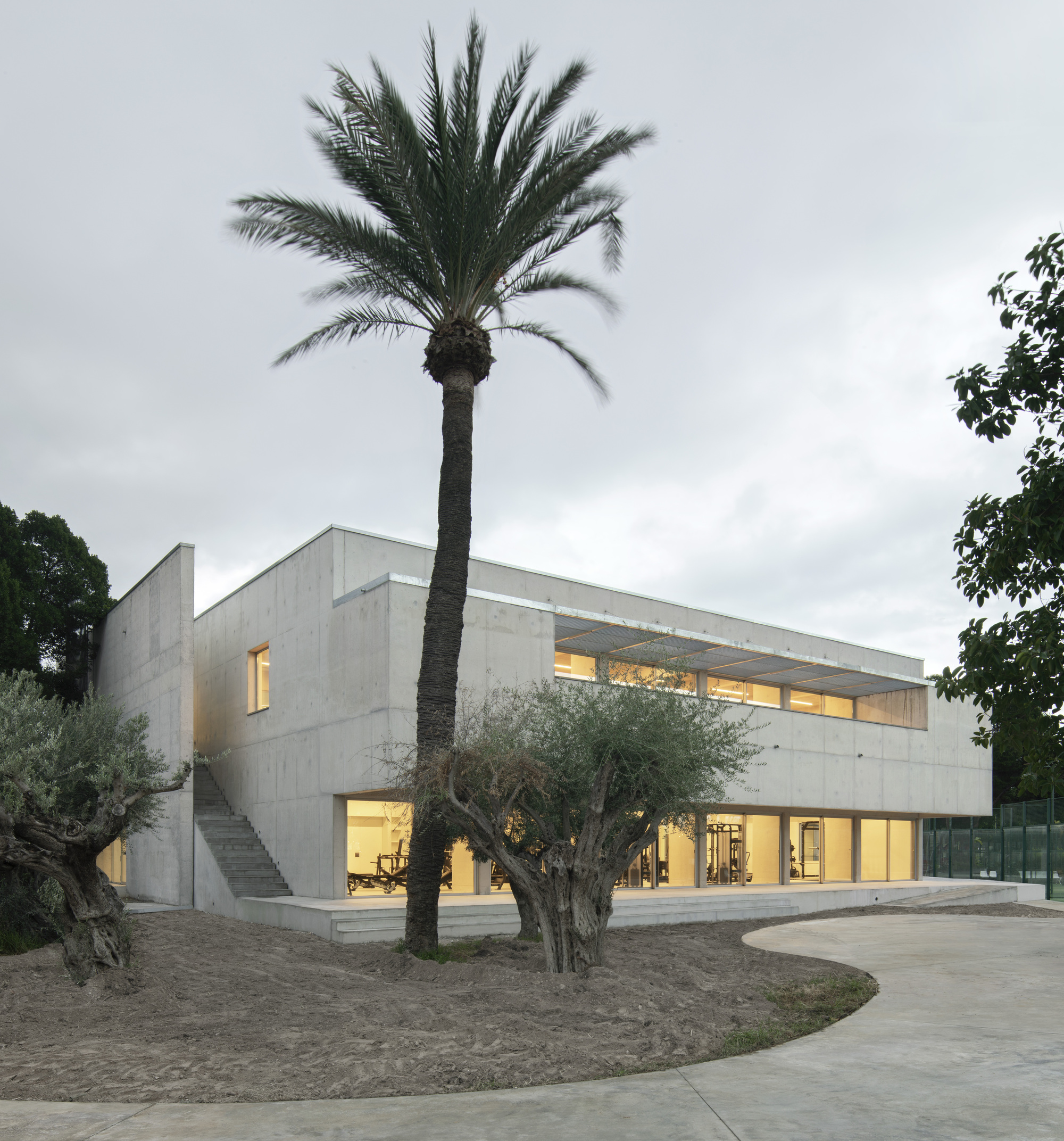 Two-story concrete facade with horizontal windows glowing at twilight beside palm and olive trees