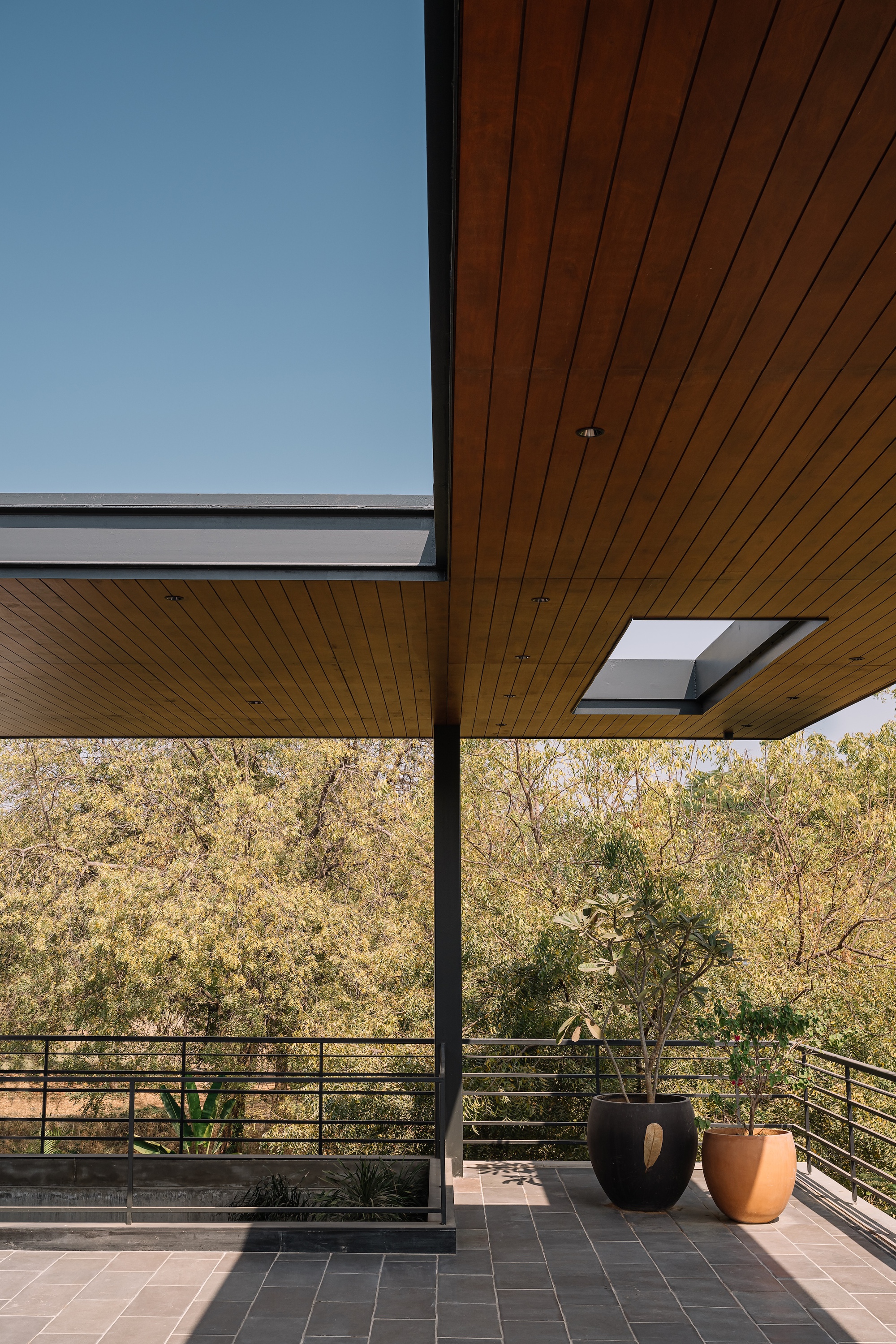 Covered terrace with timber slat ceiling and skylights overlooking potted plants and distant treetops
