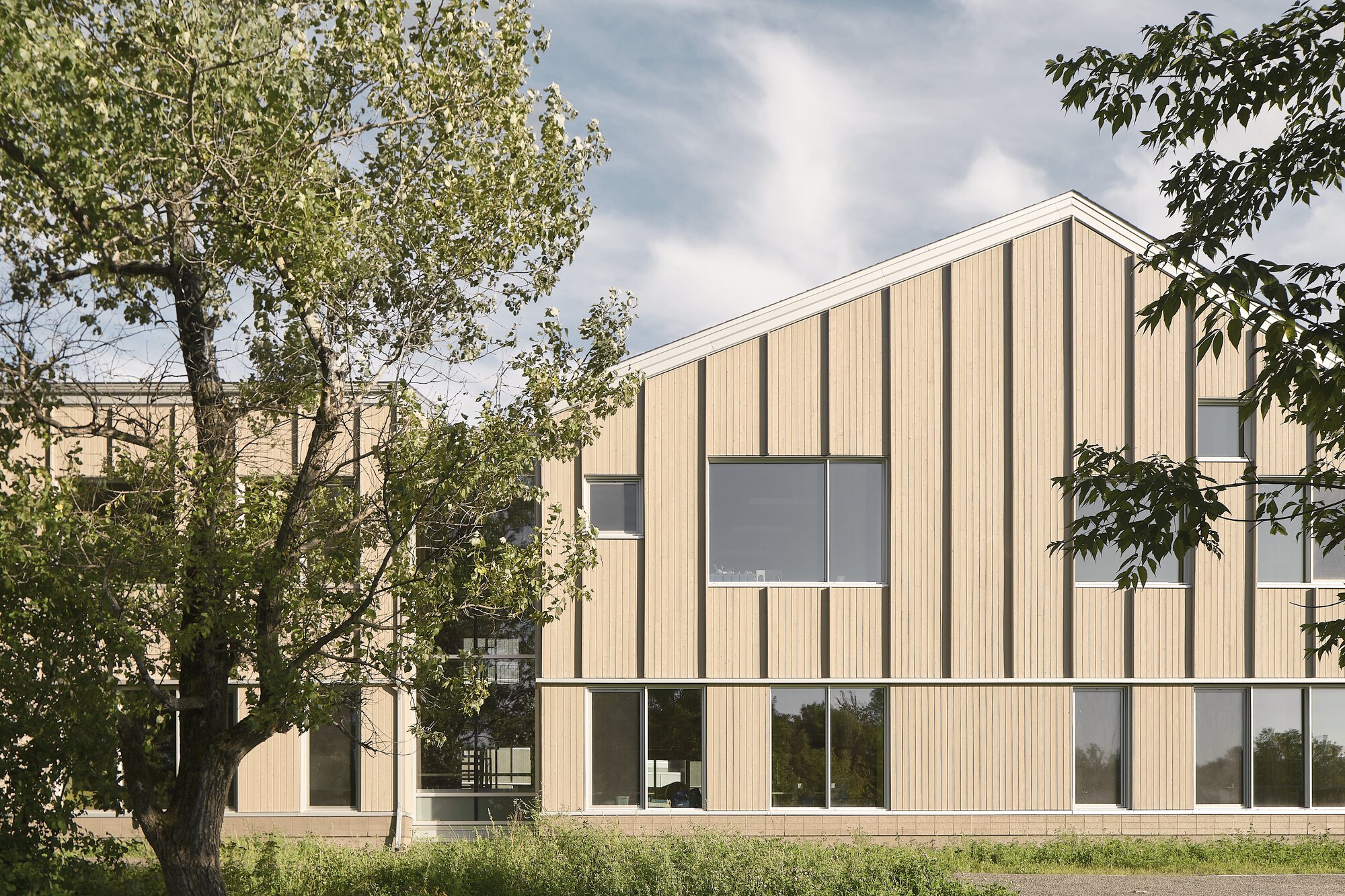 Two-storey gable facade with alternating vertical timber battens and ribbon windows framed by trees