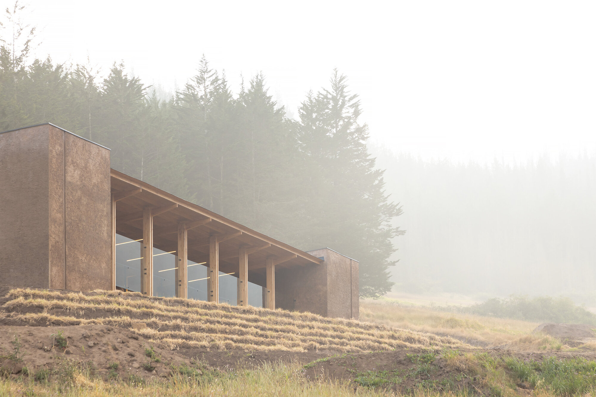 Timber-clad volume with exposed columns and glazing set into a hillside under dense fog