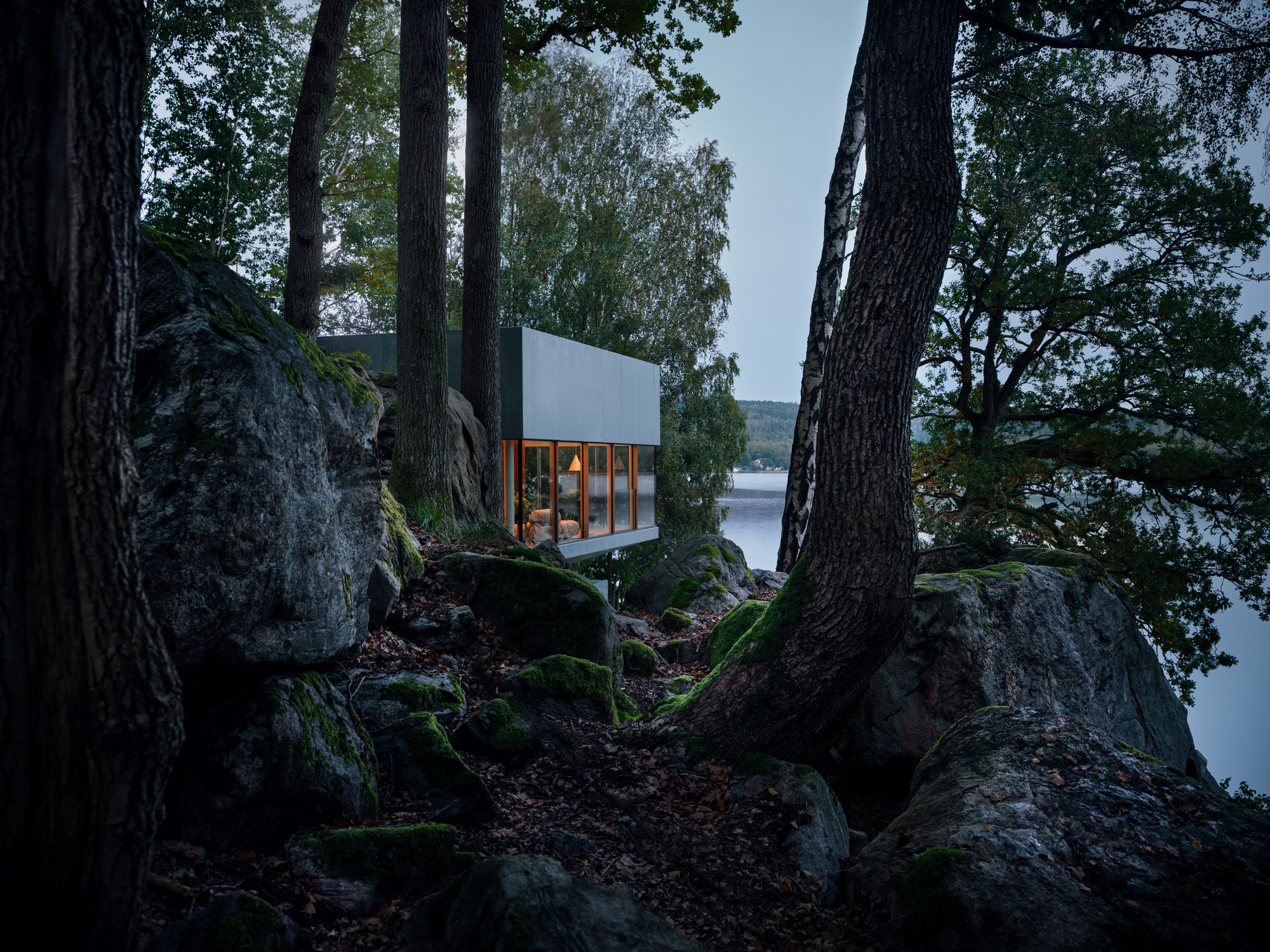 White cubic volume with glazed facade glimpsed through moss-covered boulders and tree trunks beside a lake