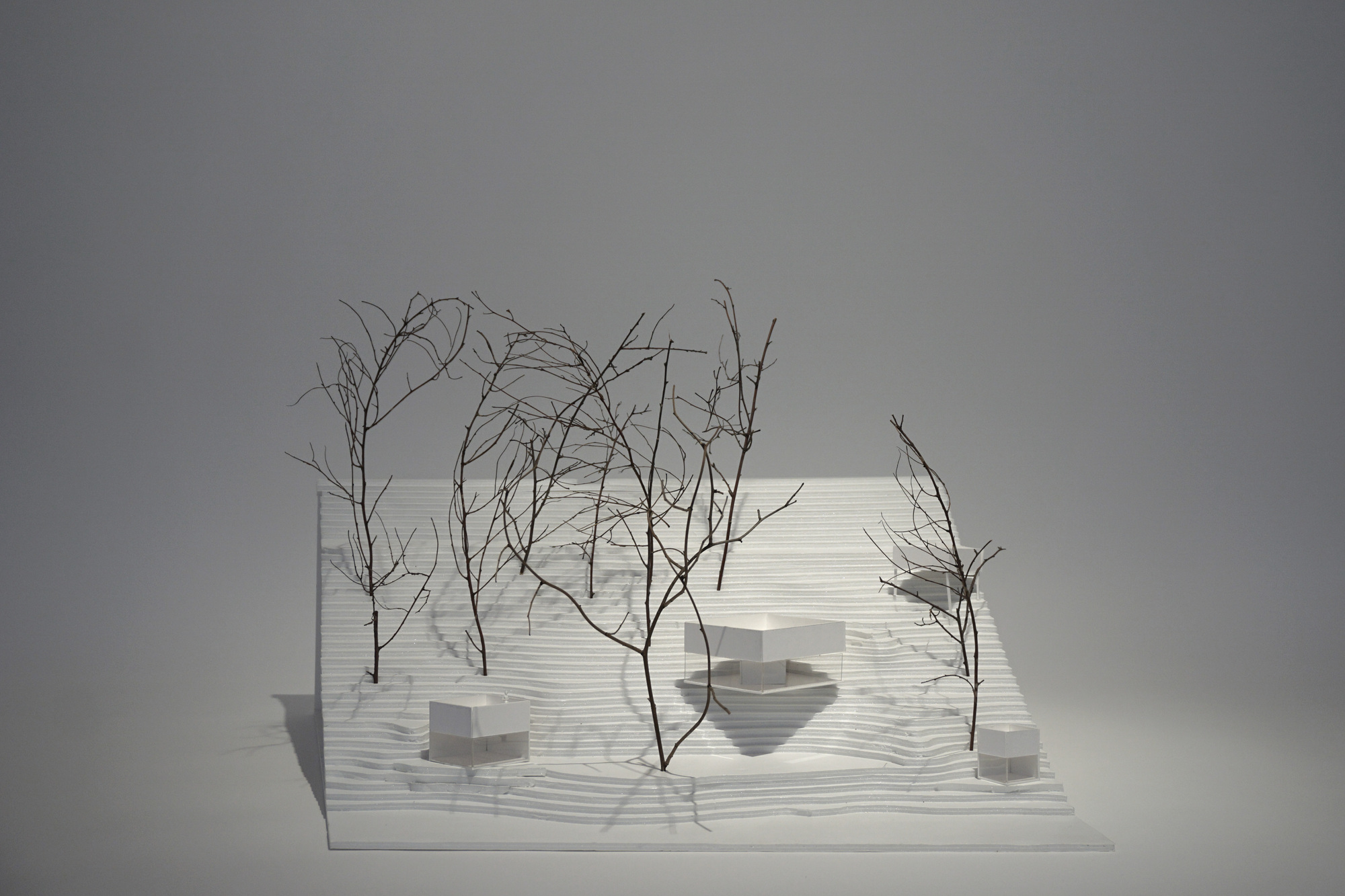Physical model with layered white platforms and bare branch trees under diffused studio lighting
