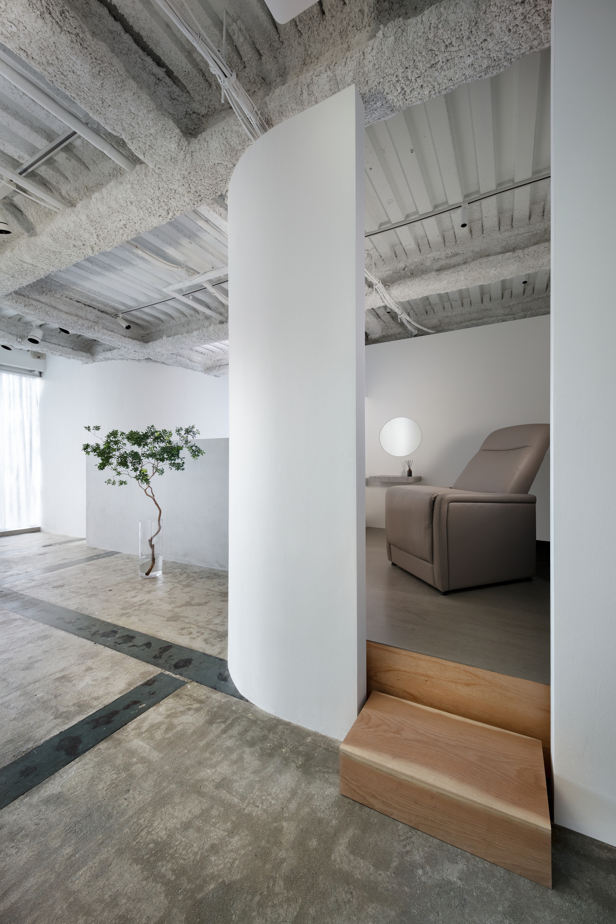 Curved white partition with timber step detail separating raised seating area from main floor
