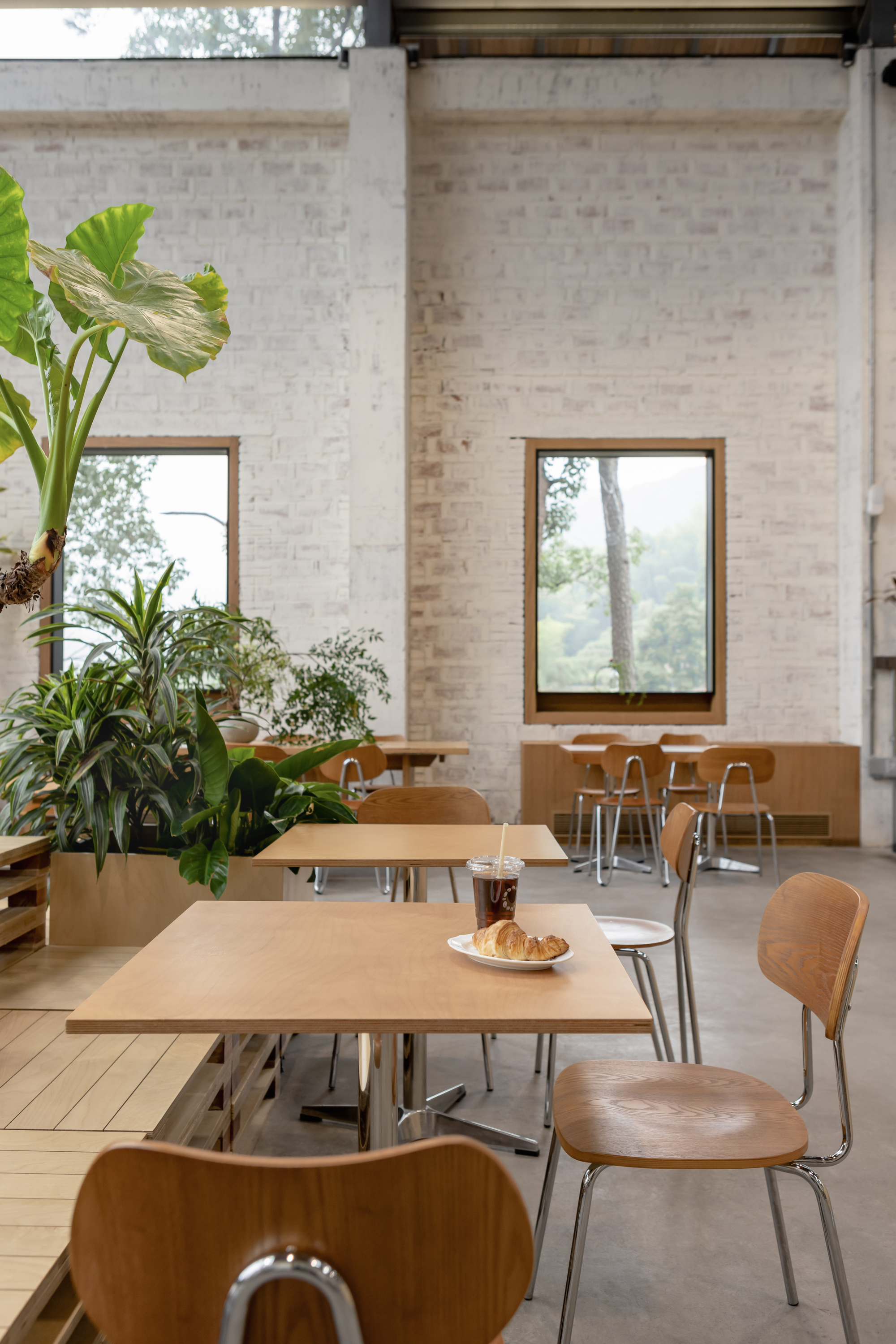 Timber dining tables and chairs against whitewashed brick wall with windows framing forest views and potted plants