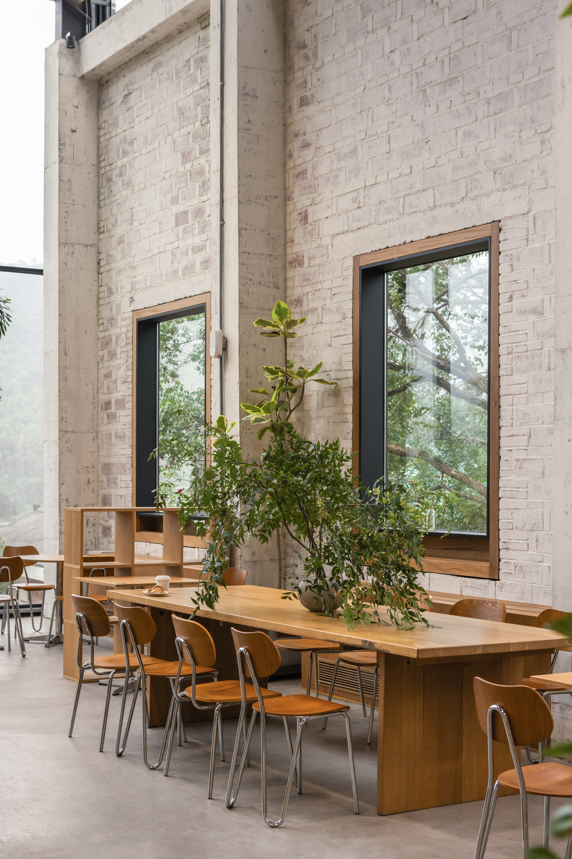 Double-height dining area with painted brick walls, timber communal table and potted trees under tall windows