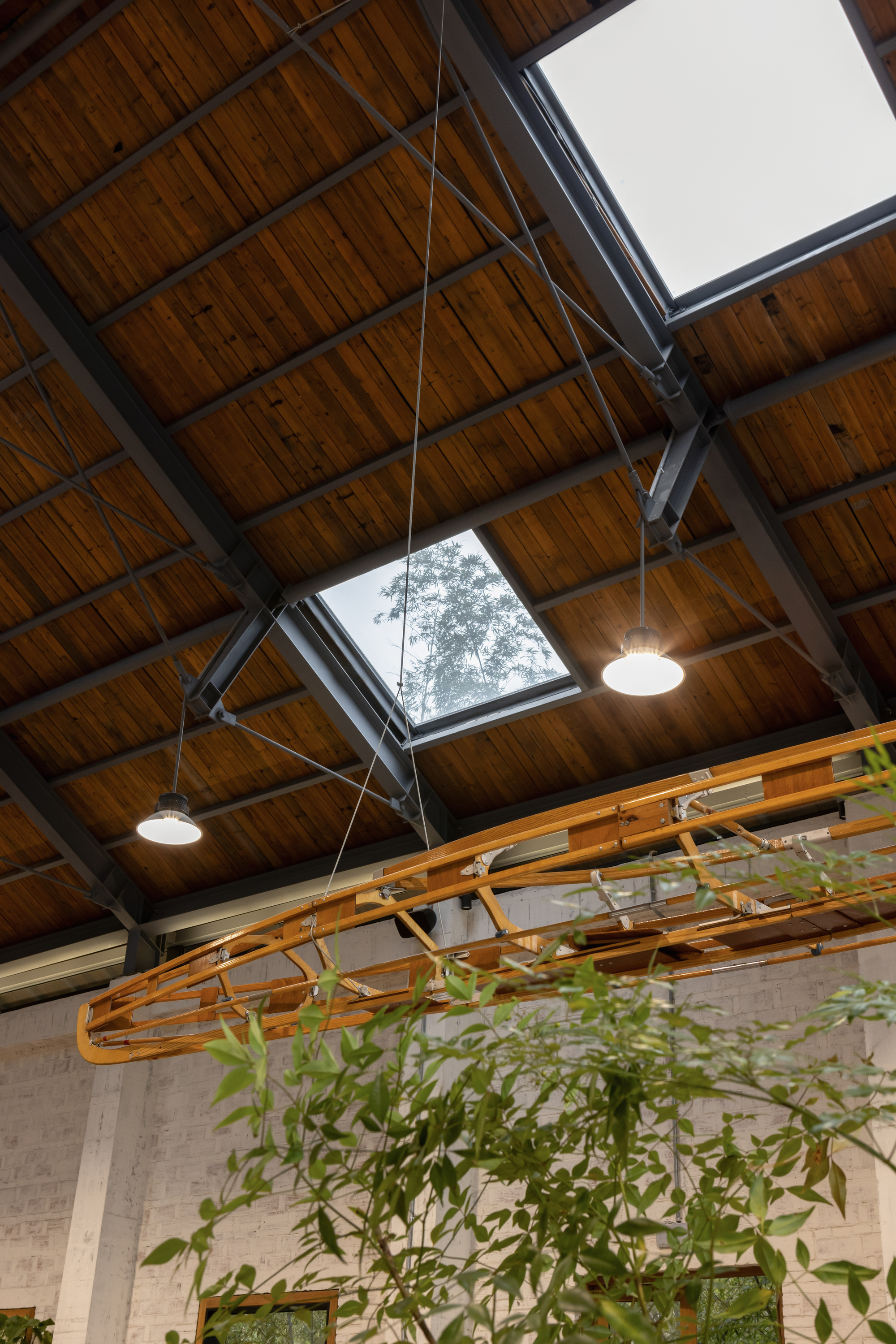 Timber ceiling with exposed steel beams, skylights and suspended pendant lights above hanging greenery