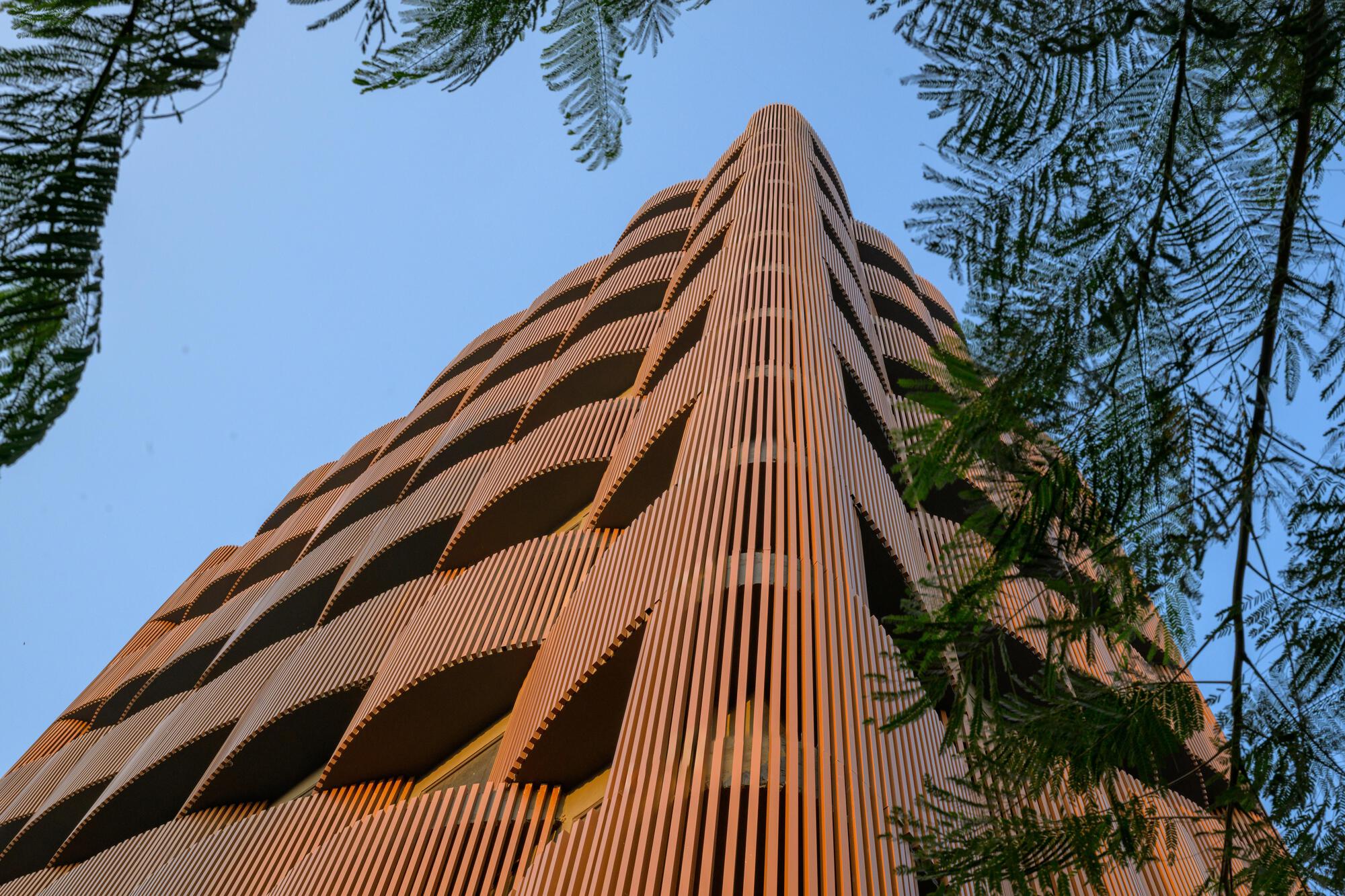 Corner view of the terracotta-clad tower rising through overhanging tree branches in afternoon light
