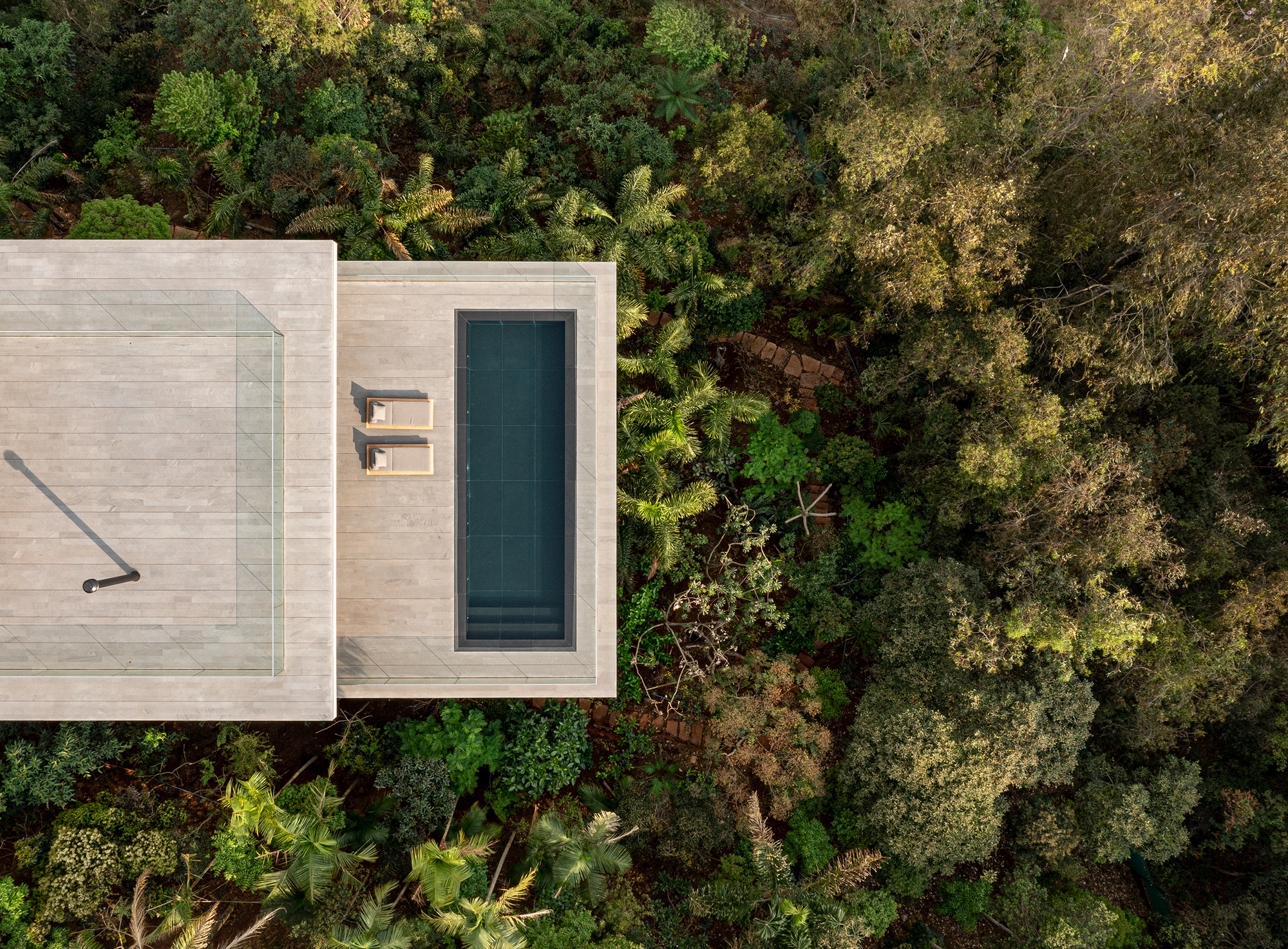 Aerial view of pale concrete roof terrace with swimming pool surrounded by dense canopy