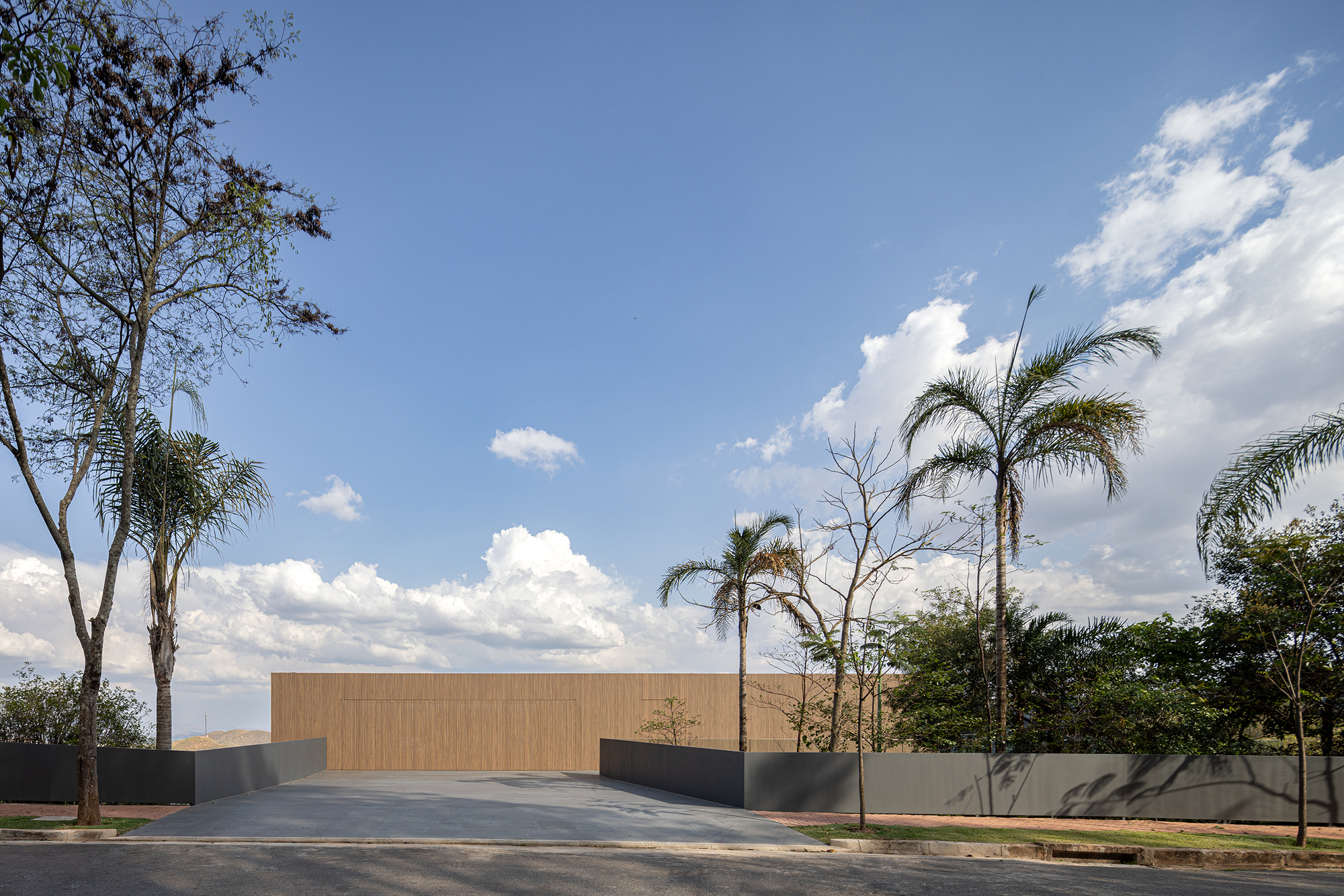 Street view of the timber clad wall rising above a grey base with scattered palms under cloudy skies