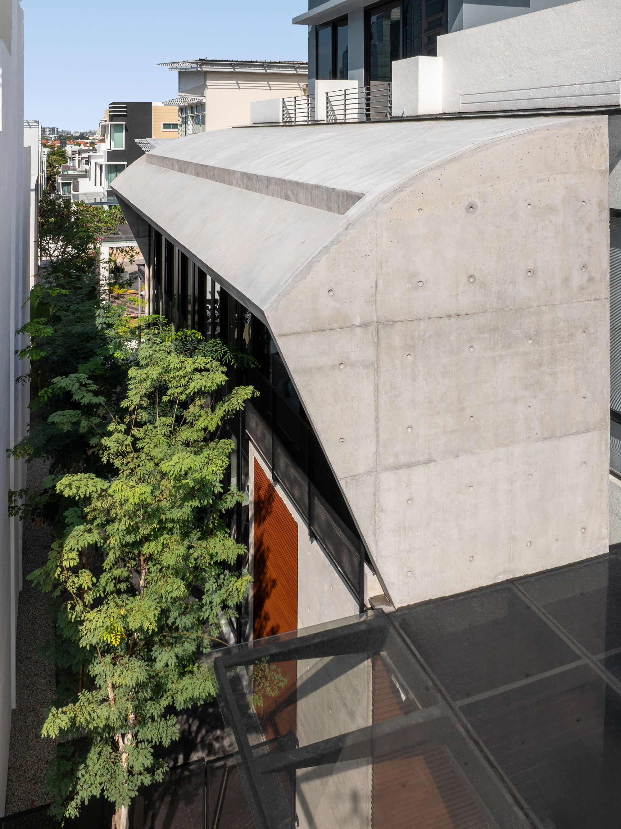 Angled concrete wall with formwork holes rising above a courtyard planted with a leafy tree
