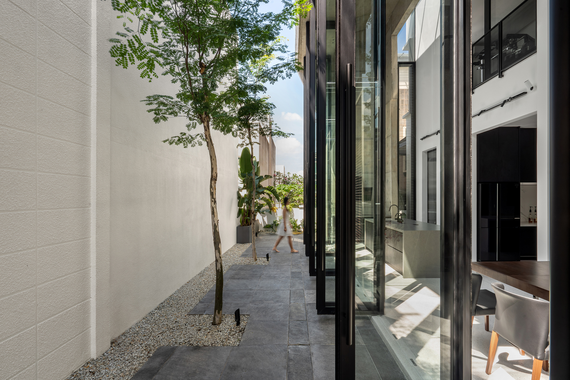 Narrow exterior courtyard with gravel bed, planted tree and white brick wall seen from interior
