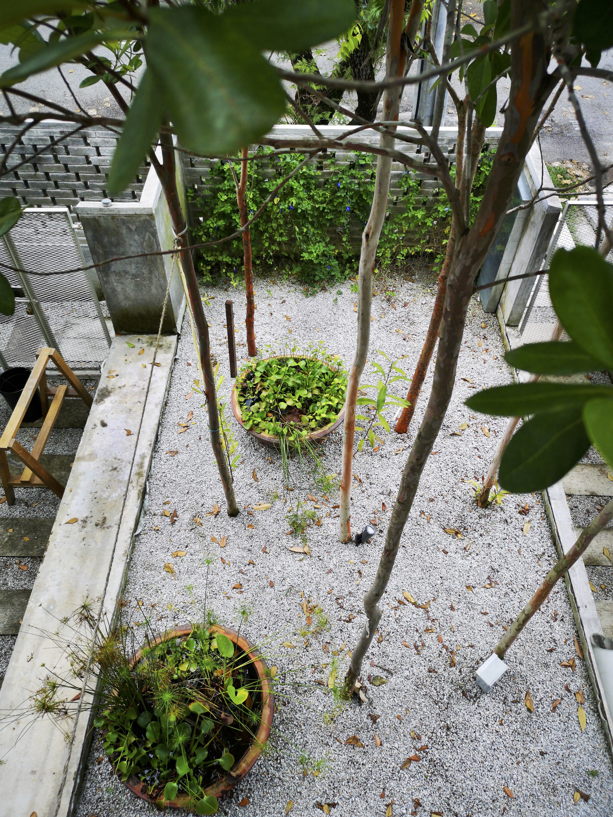 Overhead view of internal courtyard with gravel floor, young trees, and planted pots among falling leaves